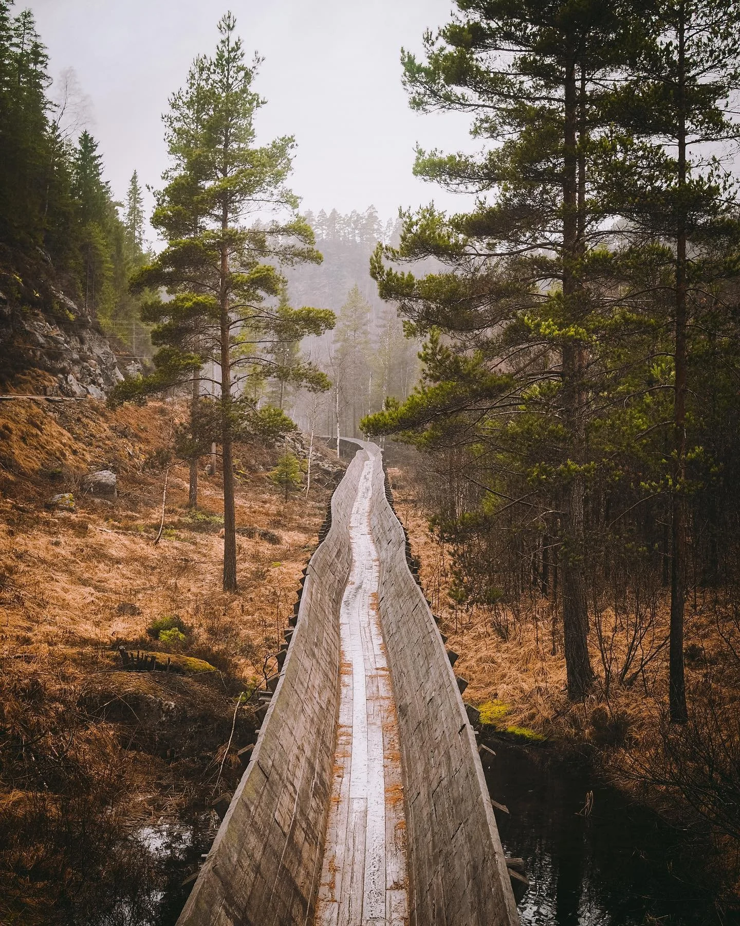 T&oslash;mmerenna stenger for vedlikehold 1. november. Litt under en m&aring;ned igjen, s&aring; f&aring; med deg turen mens du kan.

T&oslash;mmerenna er en av de fineste turene i Vennesla, og slynger seg gjennom skogen p&aring; gamle trestokker. Ta