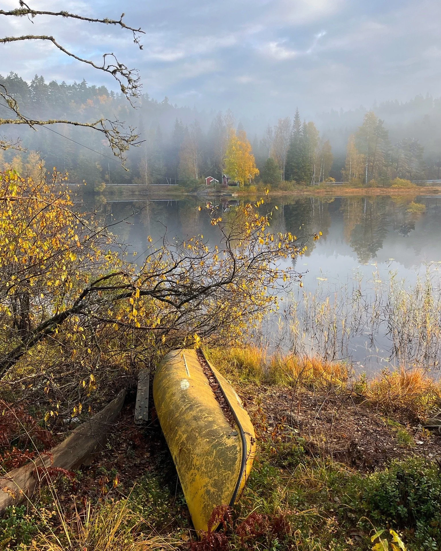 Nydelig h&oslash;stbilde fra Jeppest&oslash;l tatt av flinke @jepp_nature 🍂

Husk &aring; tagge oss i bildene deres 📸

#visitvennesla #vennesla #h&oslash;stv&aelig;r #h&oslash;st #h&oslash;stfarger #norway