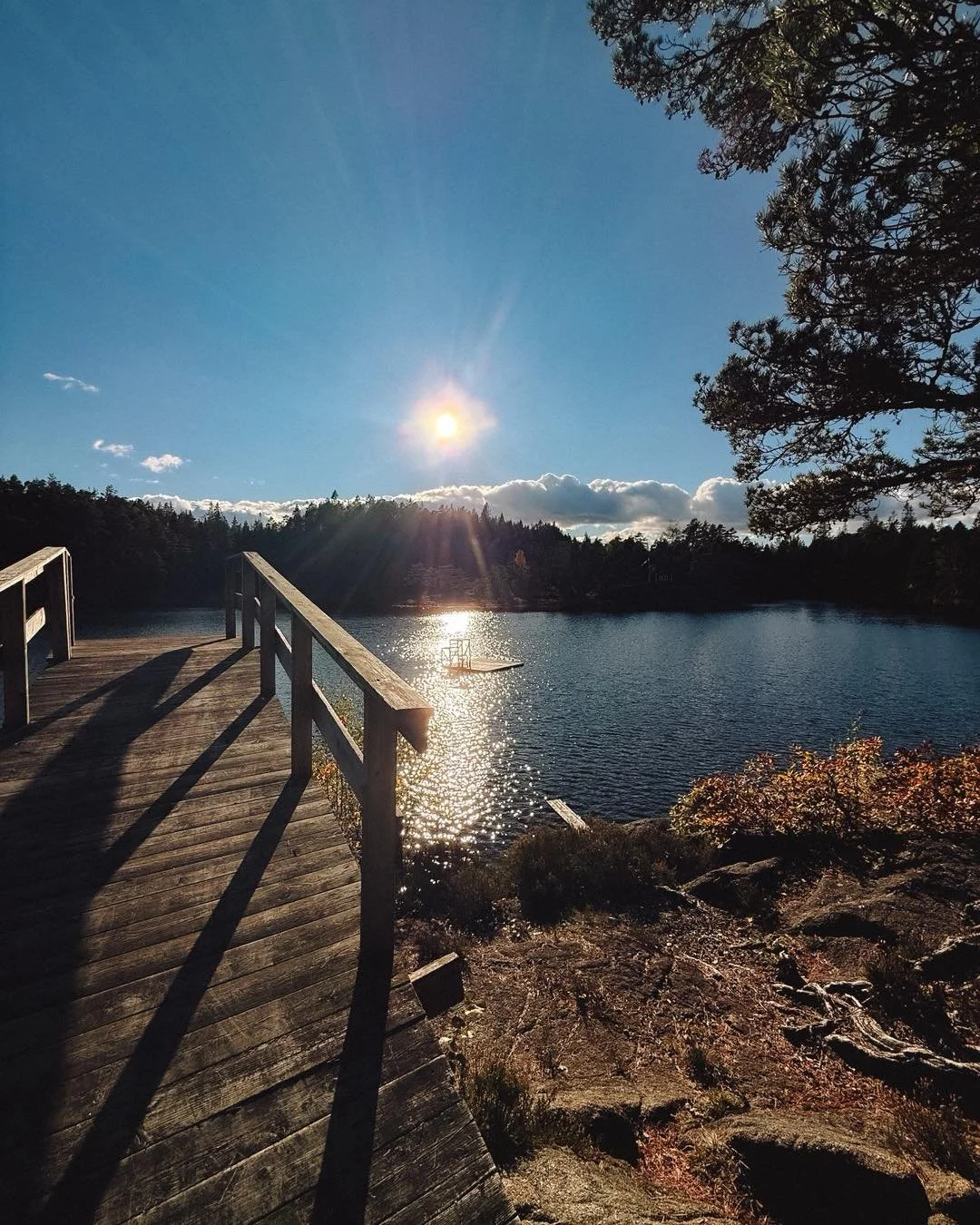 H&oslash;stsol og fine farger p&aring; tur til Linvann 🍂
Grusveien inn gjennom skogen, og sola som glitrer i vannet ved brygga. Kanskje turen din ogs&aring; g&aring;r hit en dag?

#visitvennesla #linvann #vennesla #h&oslash;st #h&oslash;sttur #turiv
