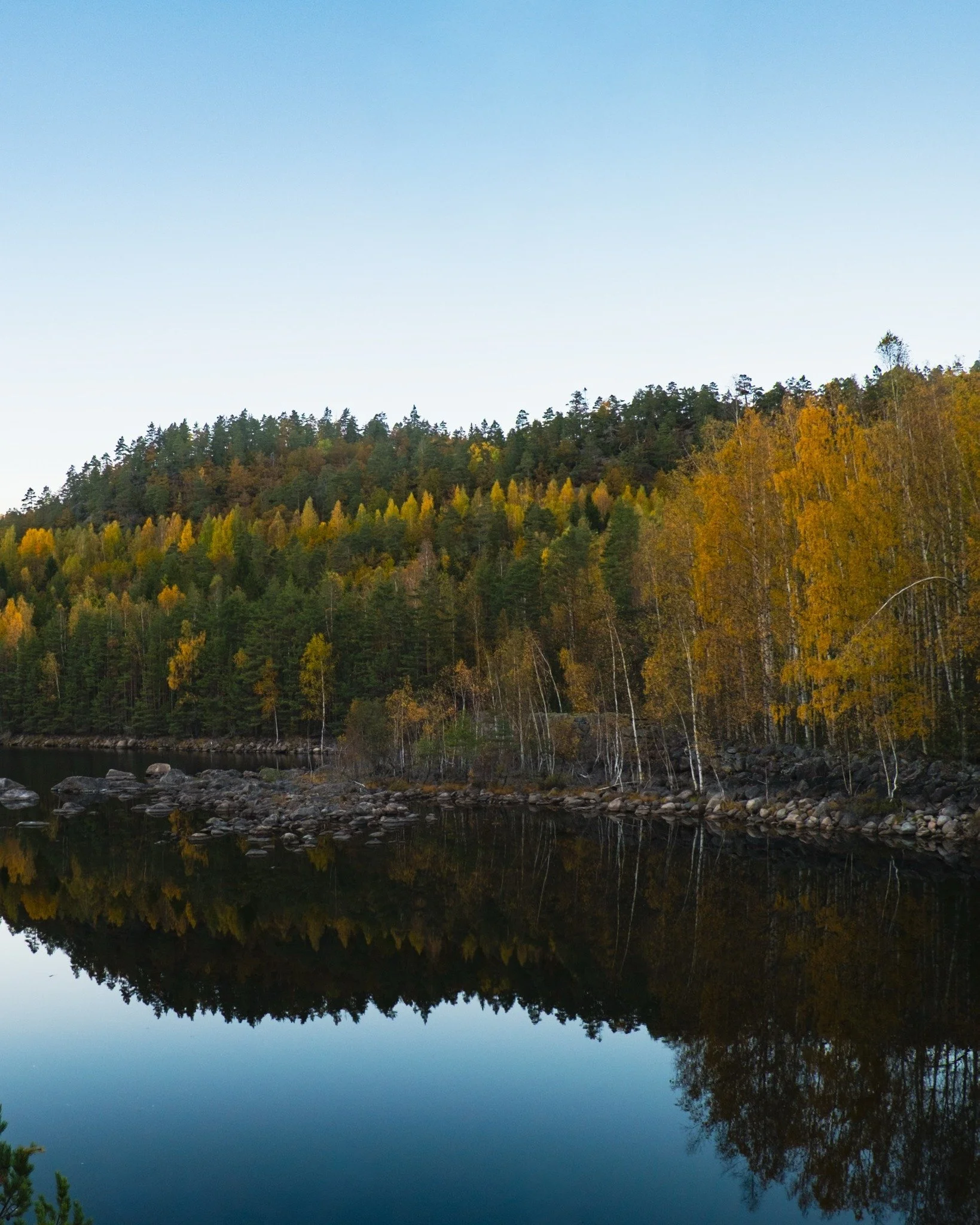 H&oslash;st p&aring; Kringsj&aring; 🍂🪞

#visitvennesla #kringsj&aring; #h&oslash;st #vennesla
