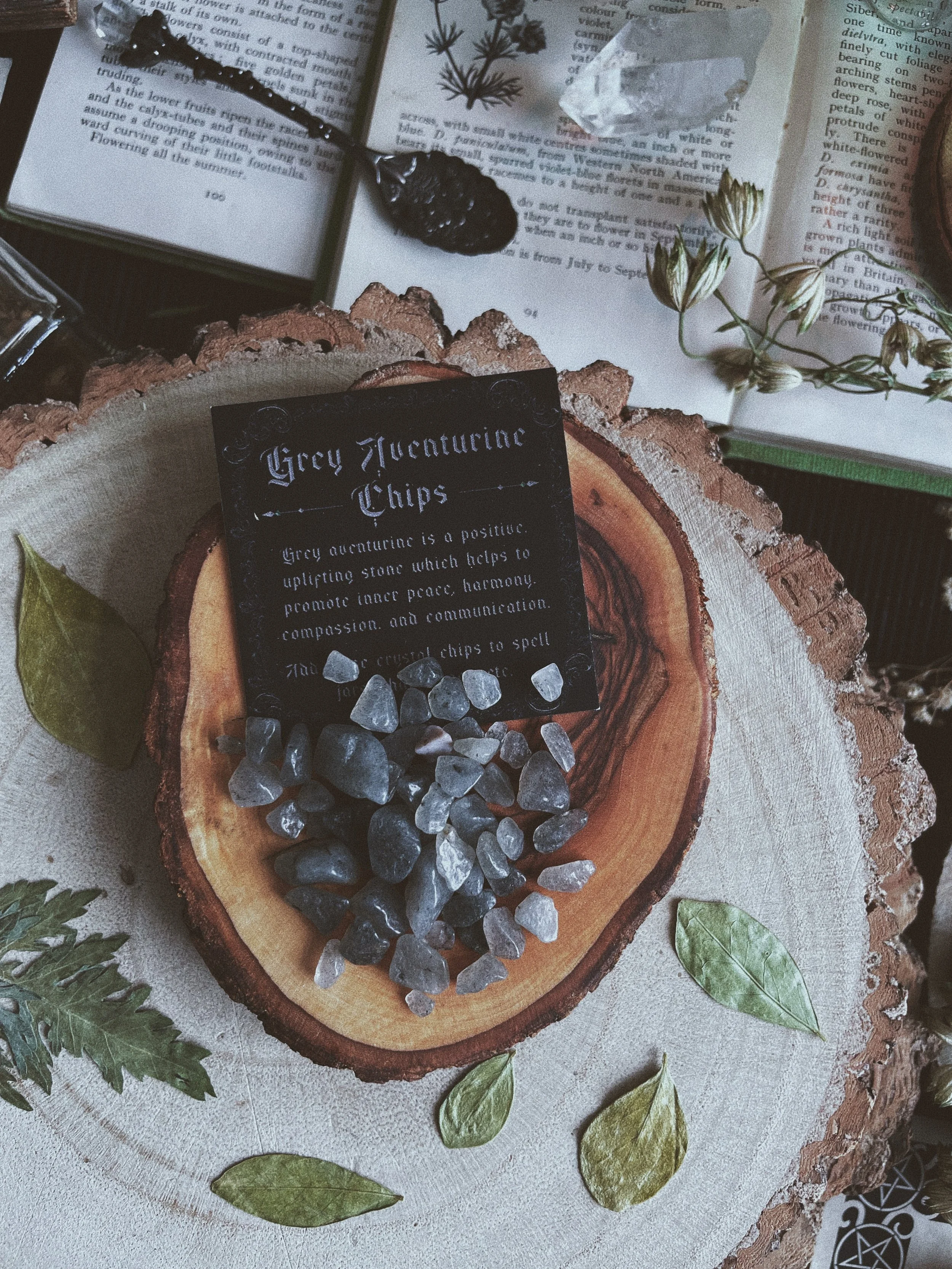 Grey Aventurine Chips & Info Card