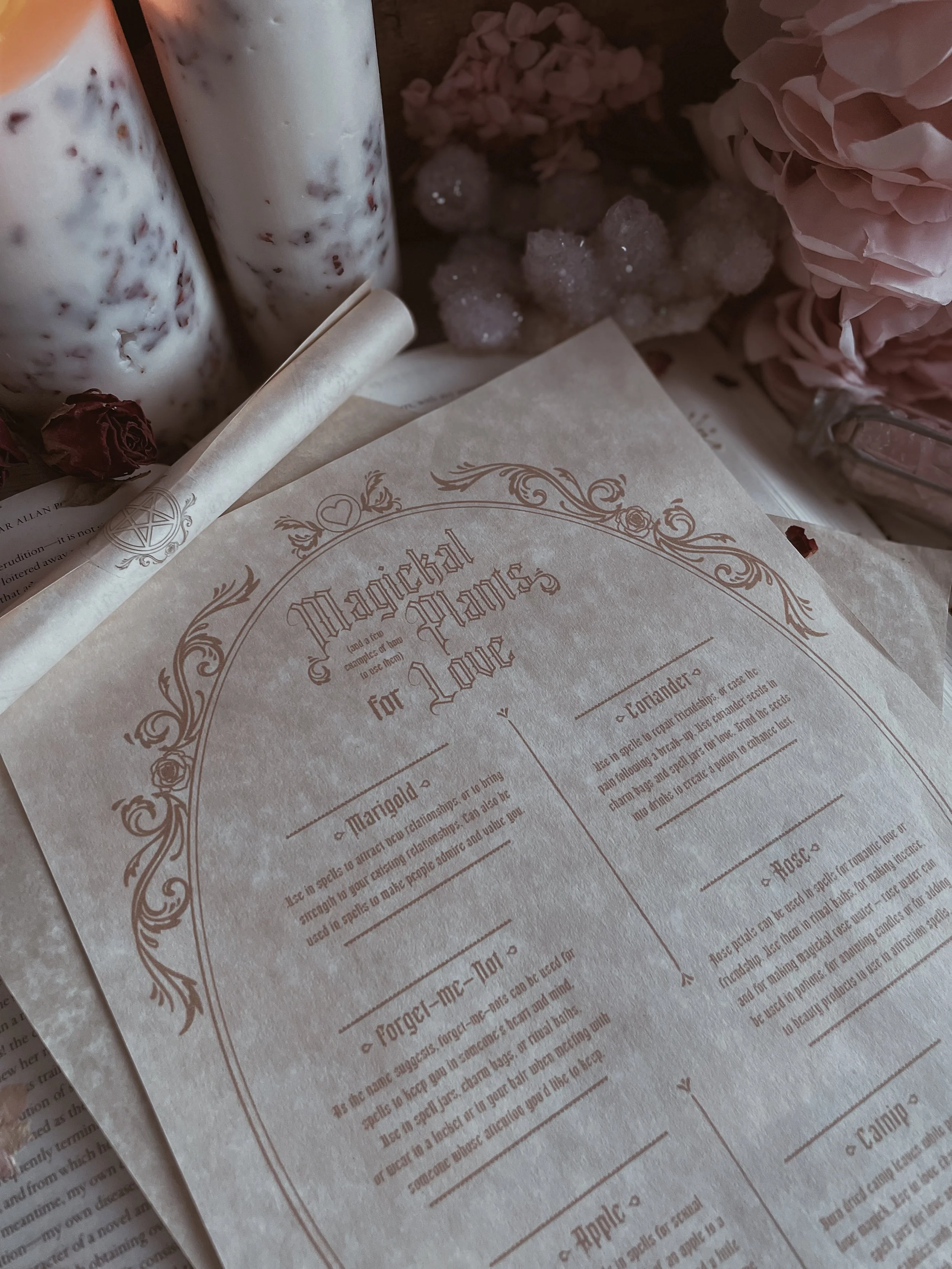 Magickal Plants for Love Parchment Scroll