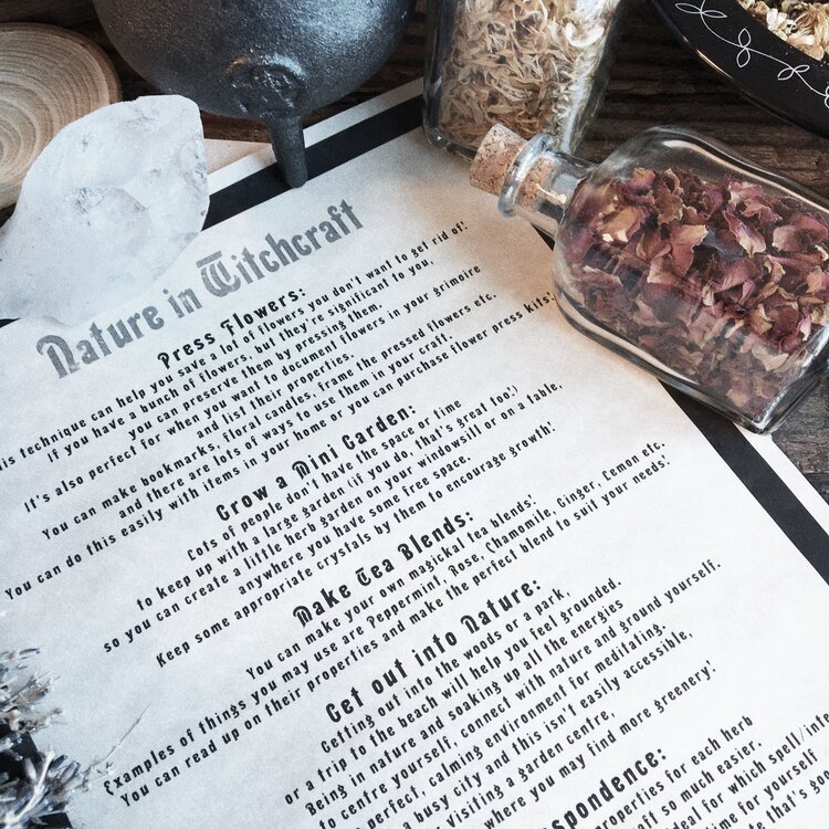 Nature in Witchcraft Parchment Scroll