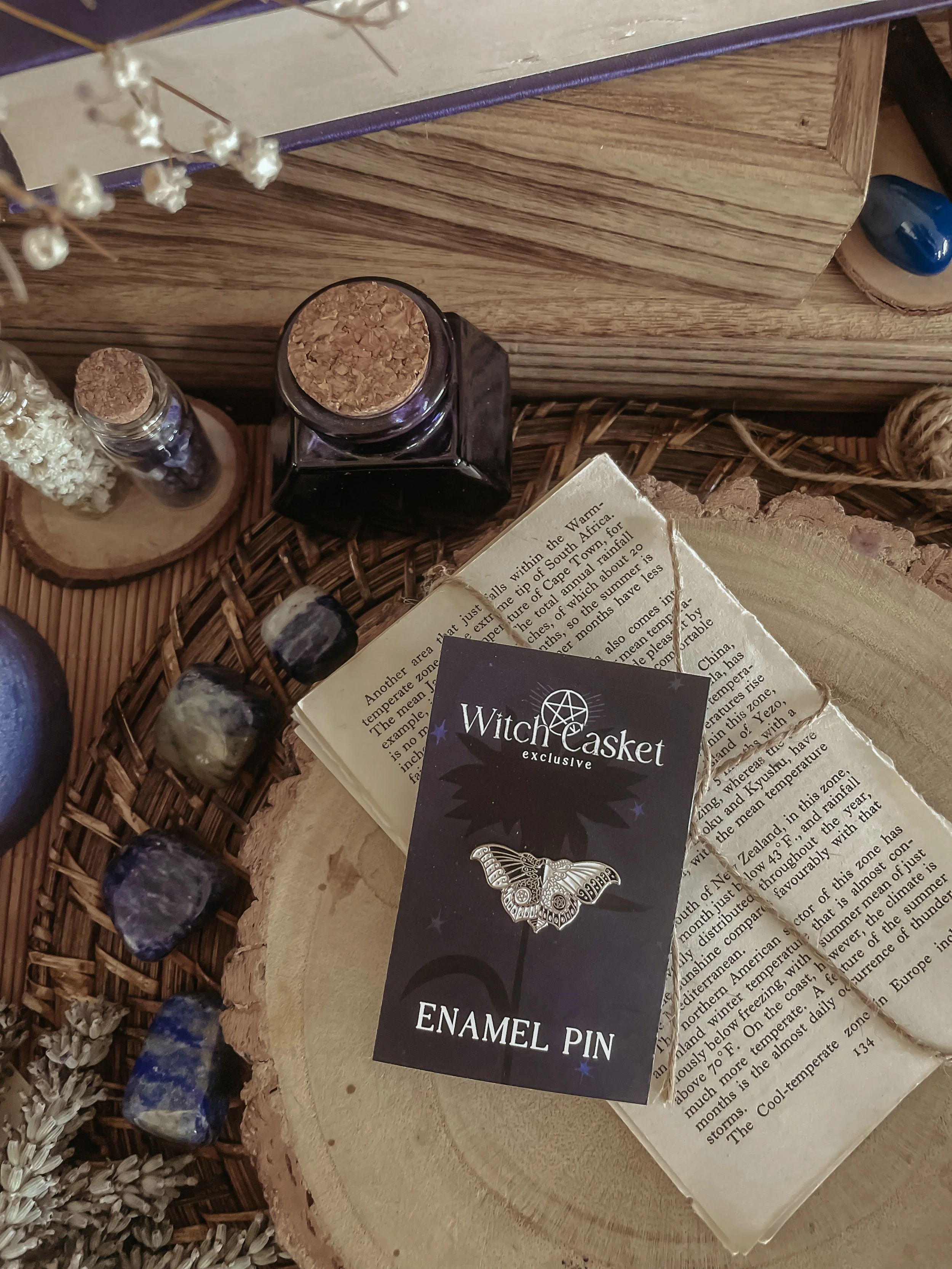 Enchanting Moth Enamel Pin