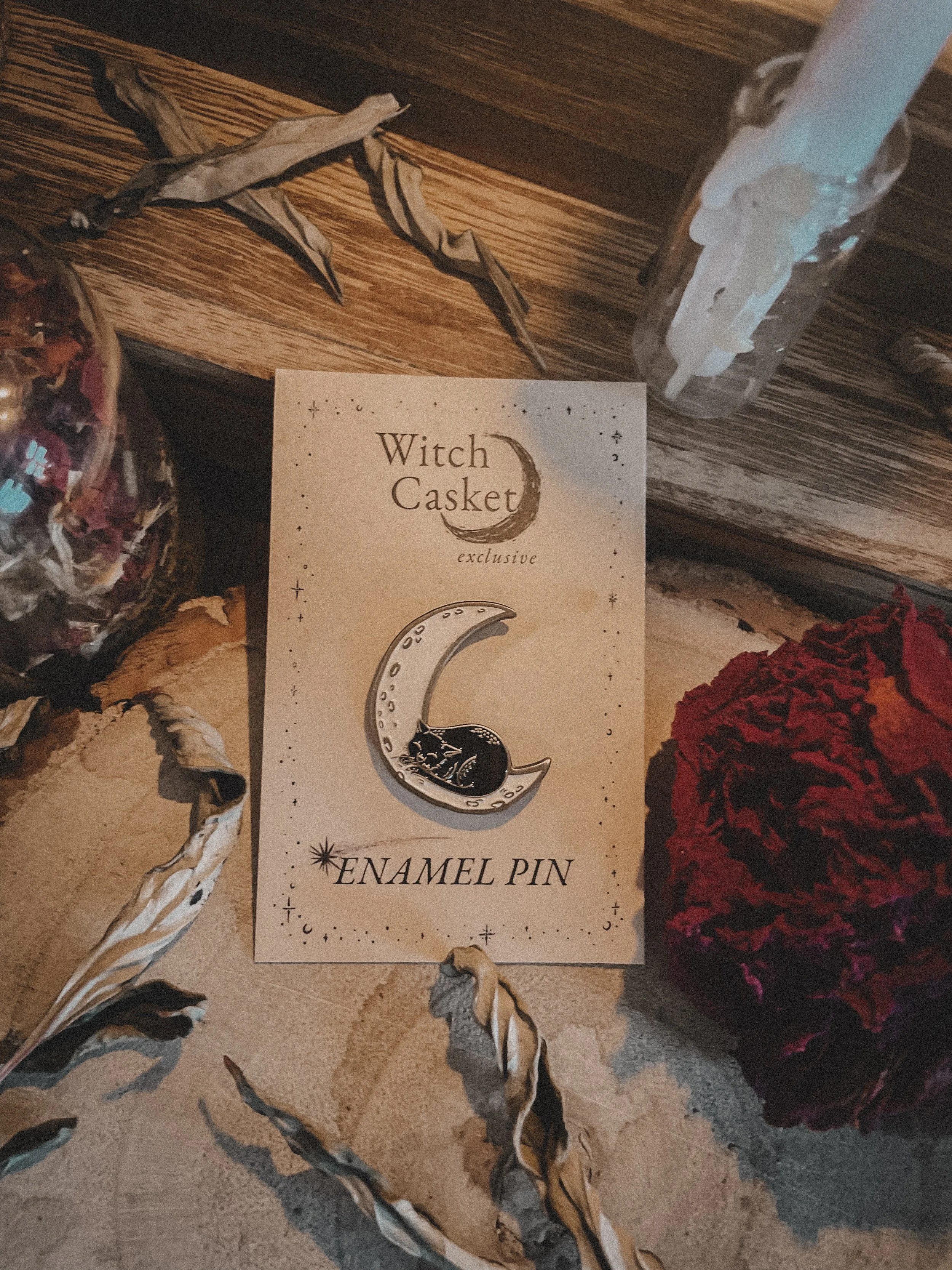 Cat on the Moon Enamel Pin