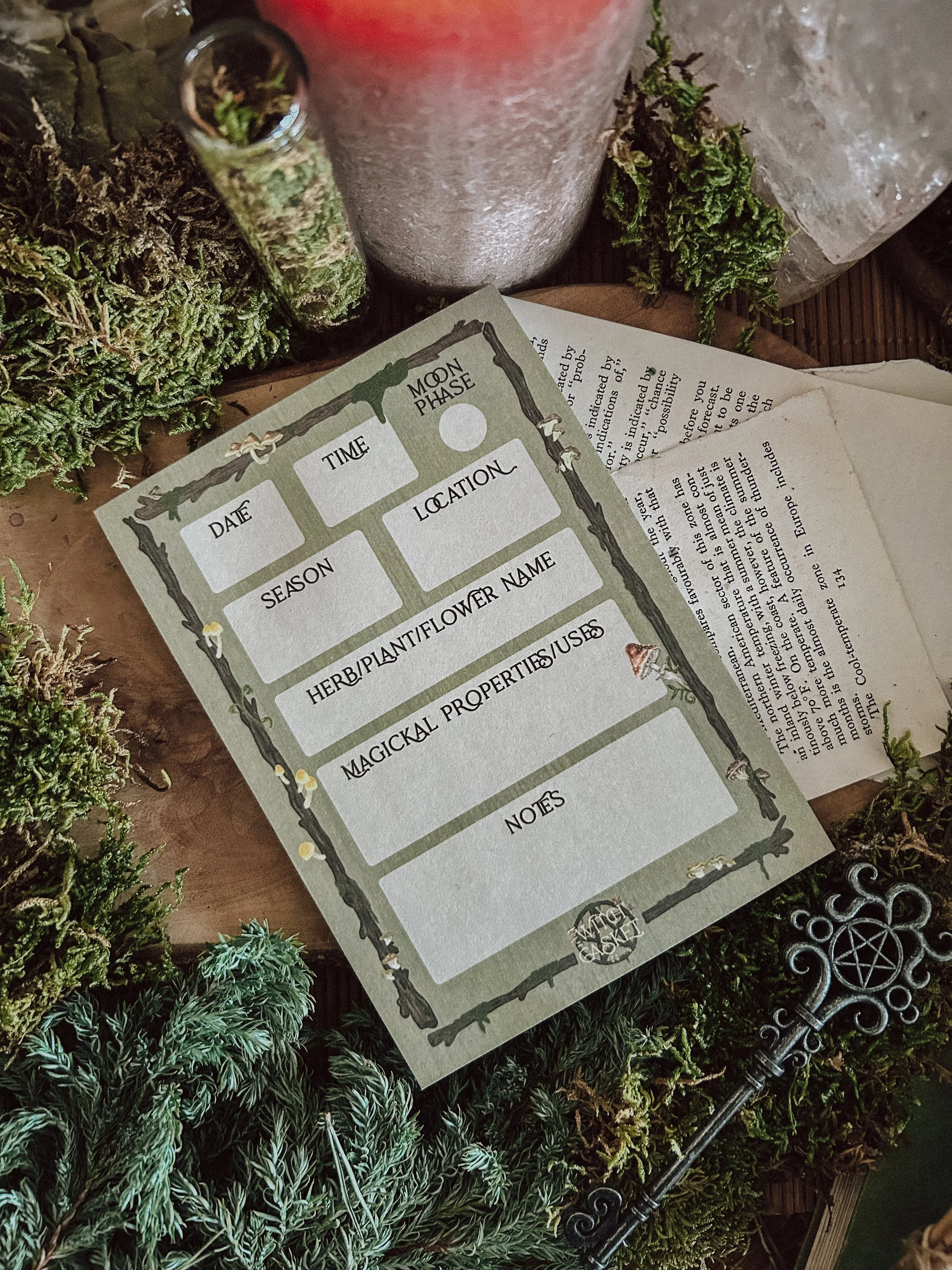 Forager’s Field Notes