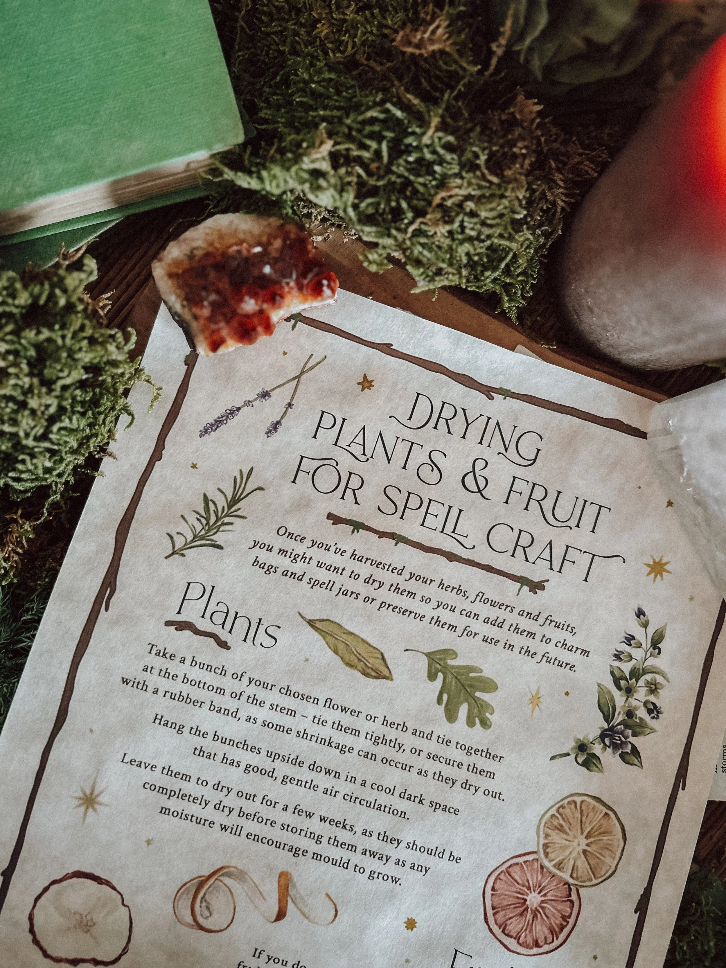 ‘Drying Plants & Fruit for Spell Craft’ Parchment Scroll