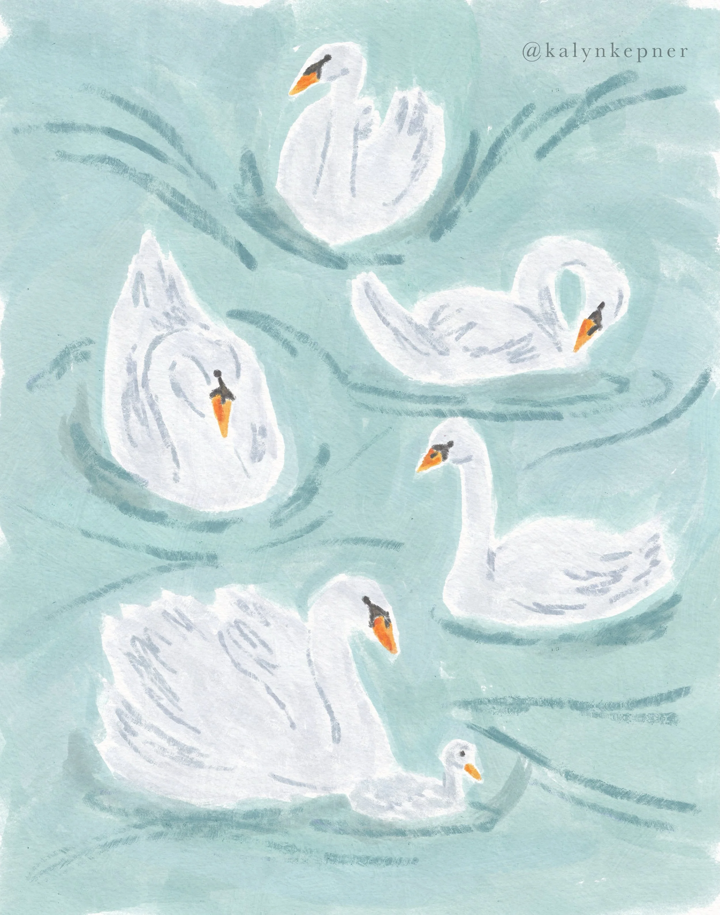 A little swan study just for fun. 🦢