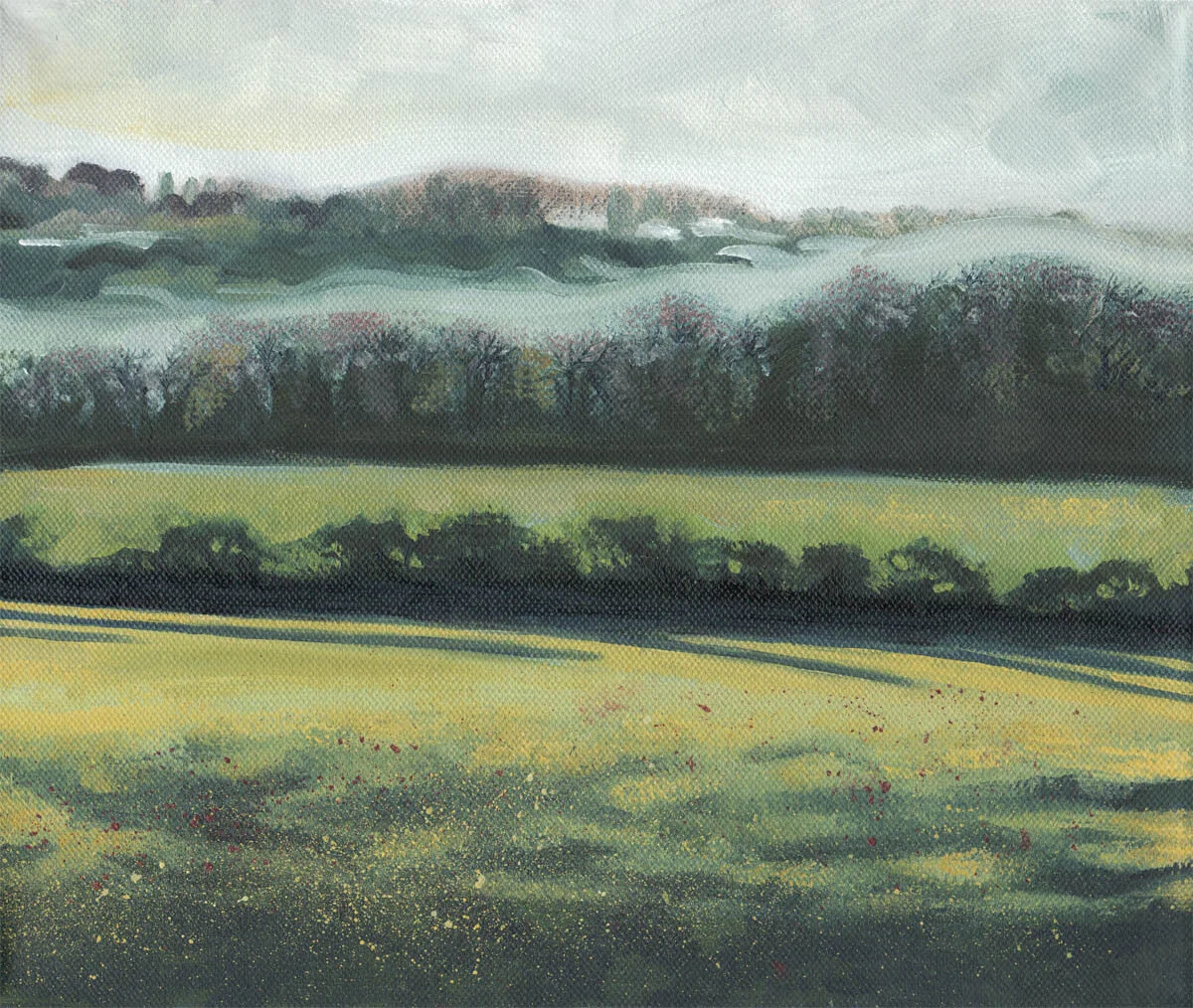 Cheesefoot Head in mist.jpg