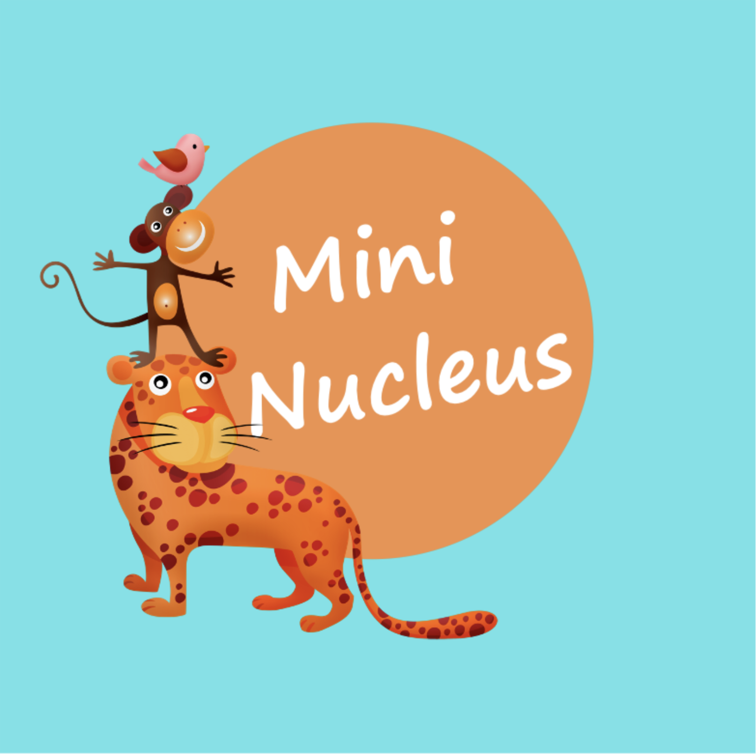 Mini Nucleus 