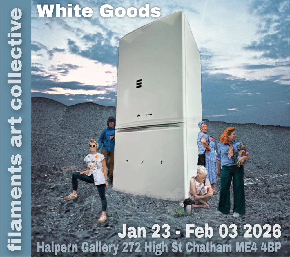 White Goods Exhibition - The Halpern Gallery