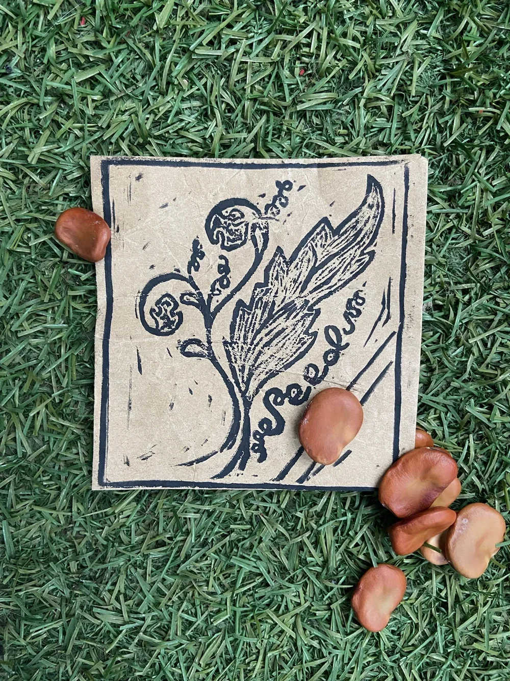 Seed Swap at MedwayArtBox 