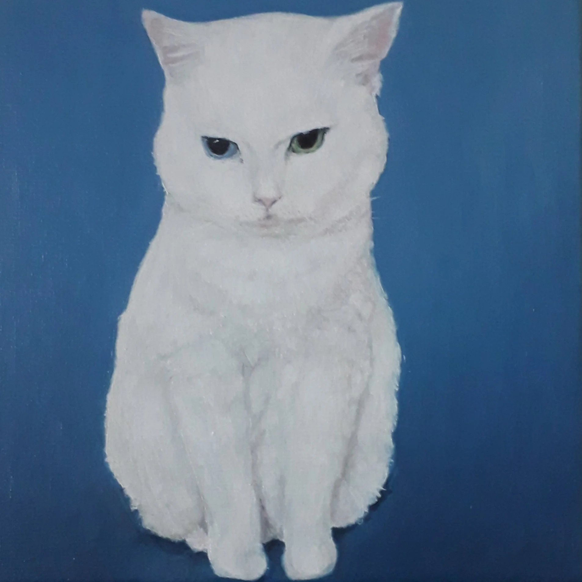 12. Portrait of Emmie's Pandora Snowpuss, May 2020, 25cm x 25cm.jpg