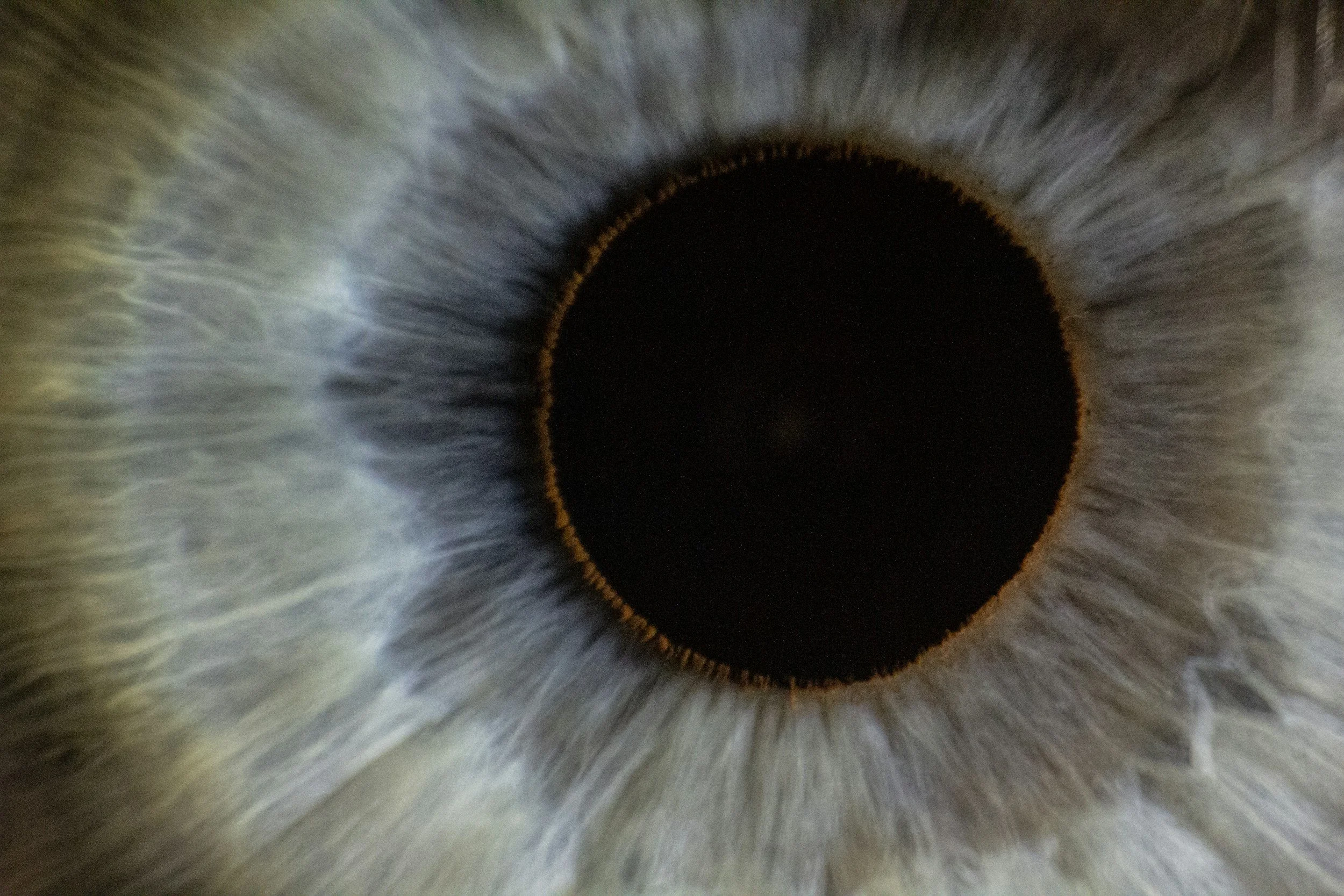 Teaching Machines to See, Teaching Students to Question