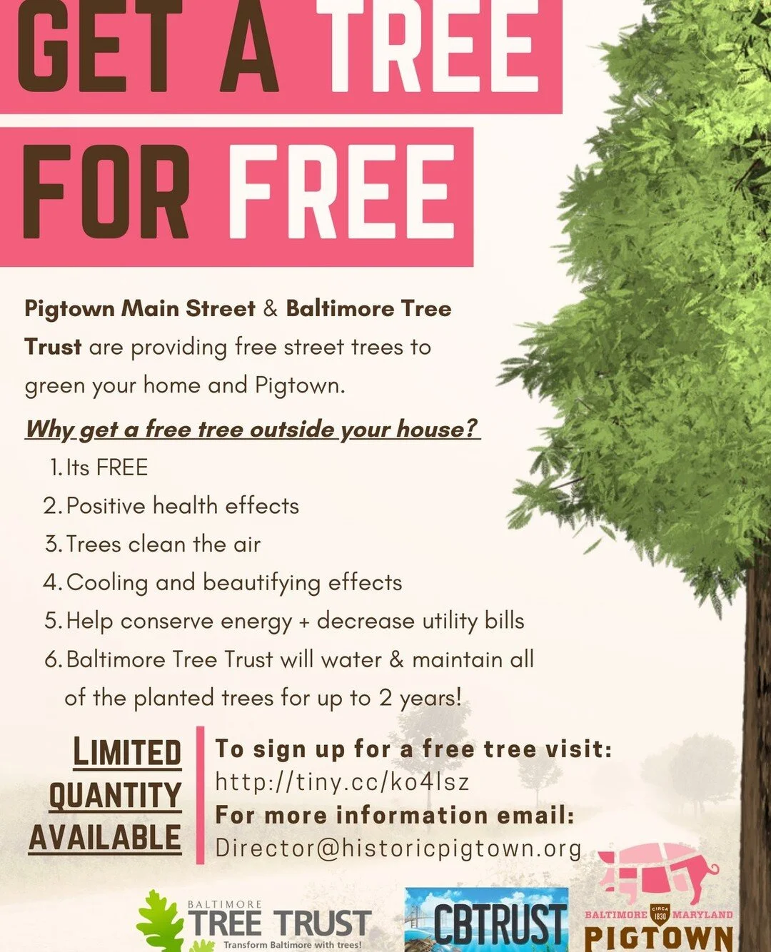 Pigtown Main Street is partnering up with Baltimore Tree Trust to bring free trees into our neighborhood for residents! We have limited quantities of trees available which is why we ask that you reserve your tree as soon as possible at the link below