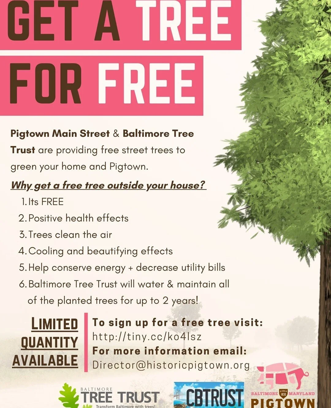 It's not too late to sign up for a free tree! Visit http:/tiny.cc/ko4lsz for more information! ⁠
⁠
#Baltimore #Pigtown #PigtownMainStreet #Bmore
