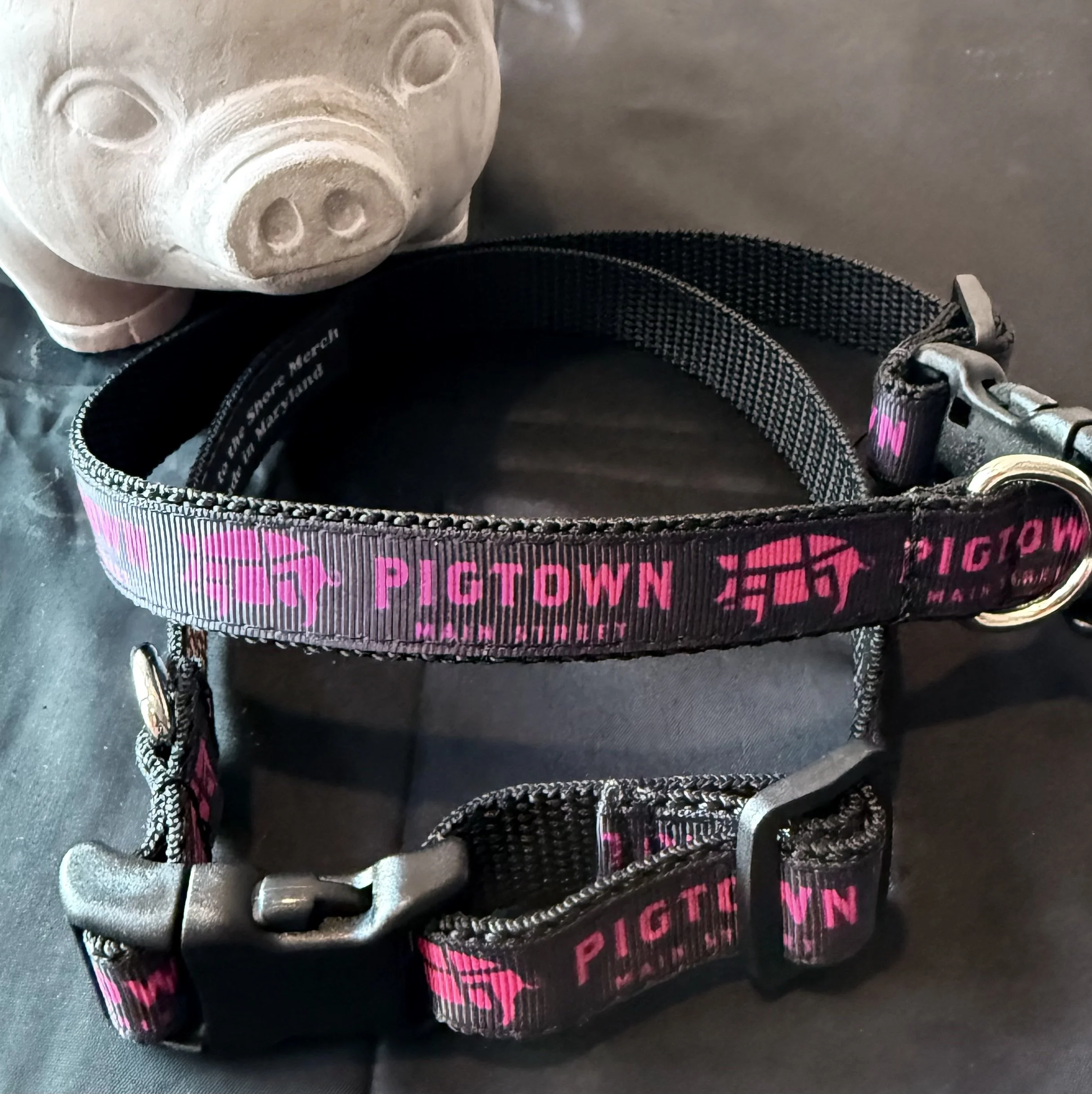dog collar.jpeg