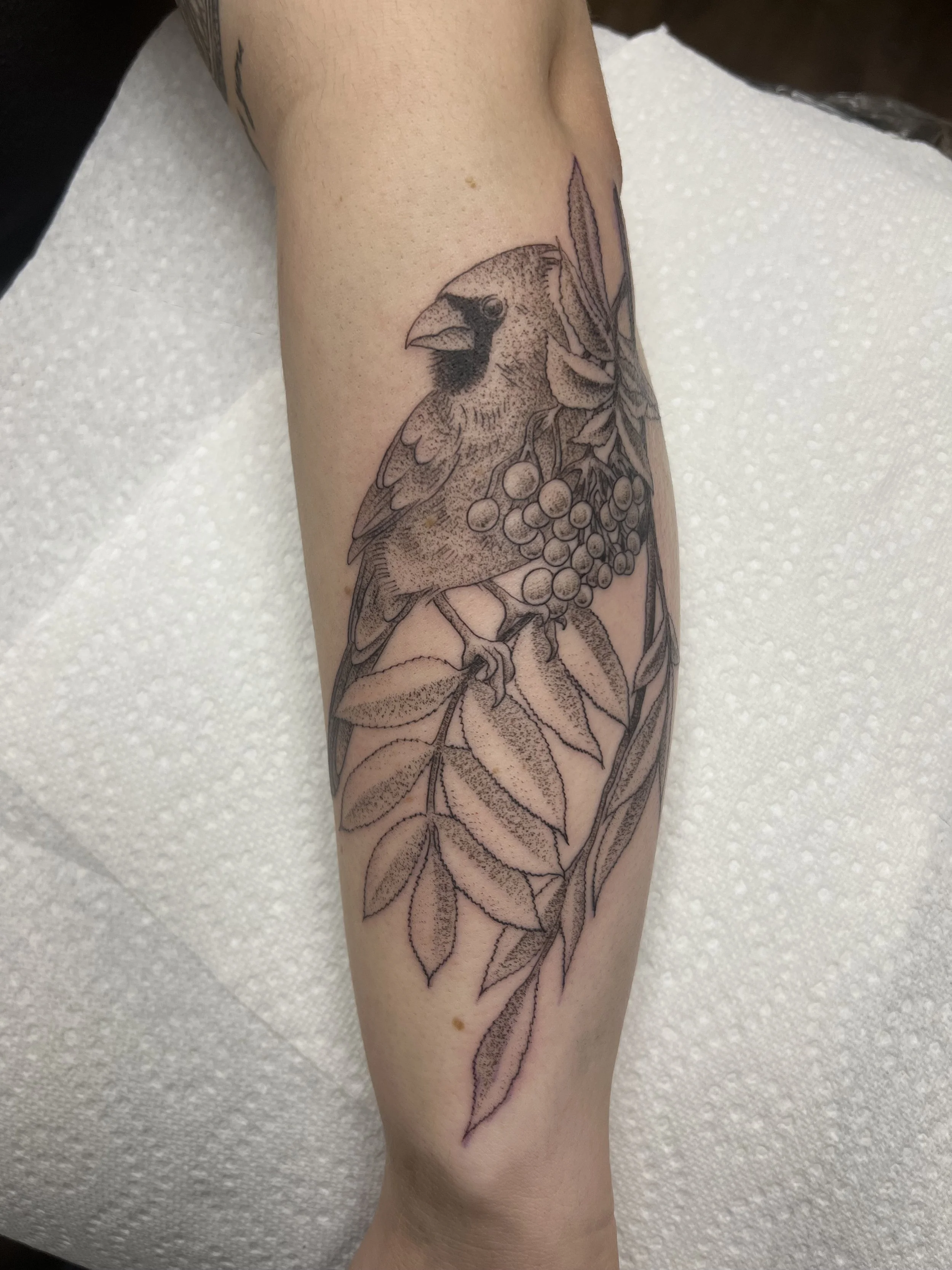IMG_6245.jpeg