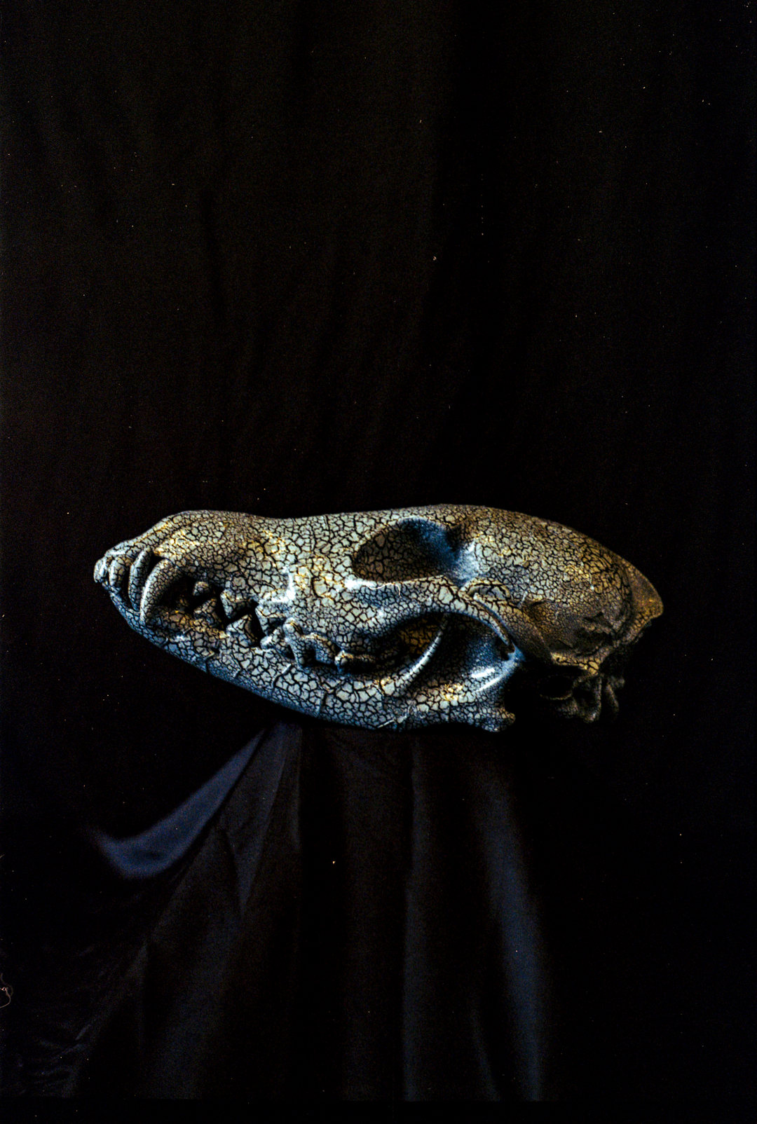 Raiford Chair 7:16am (Mixed Media on Coyote Skull)