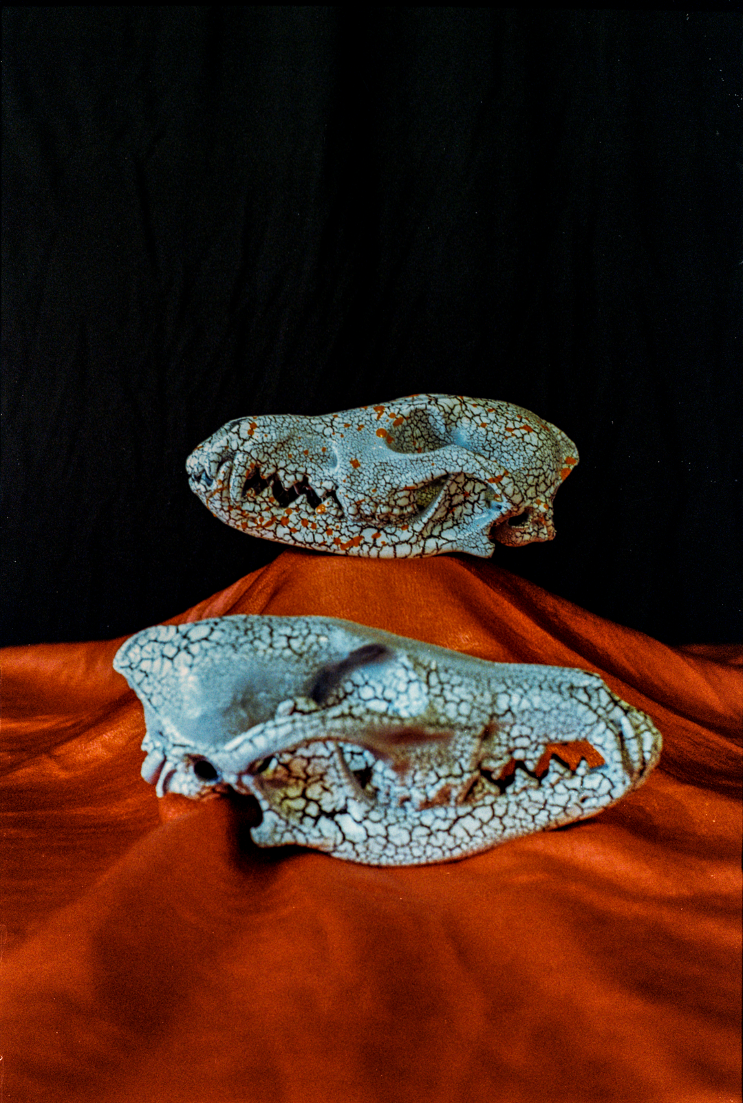 Mixed Media on Coyote Skulls