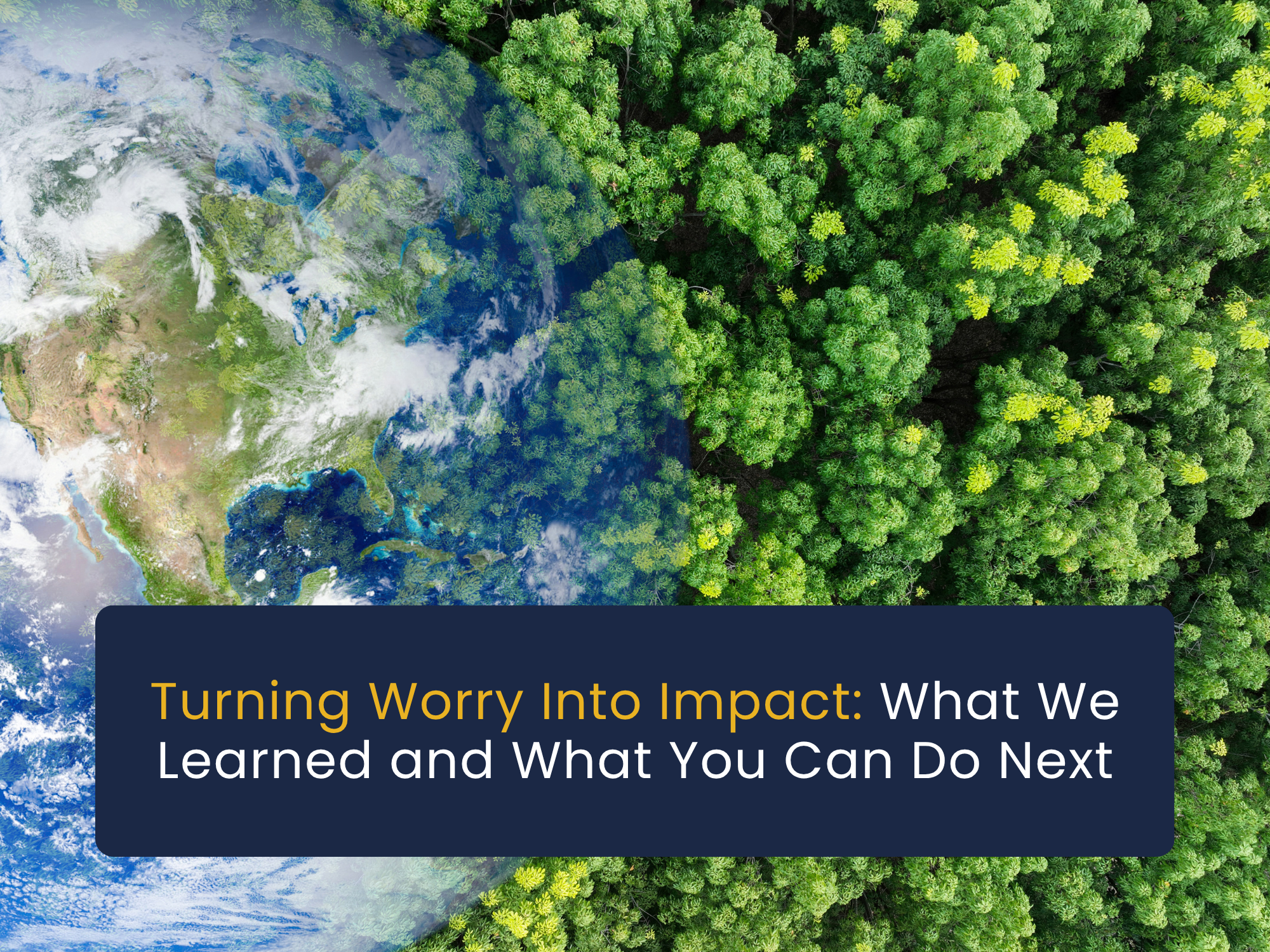 Turning Worry Into Impact: What We Learned and What You Can Do Next