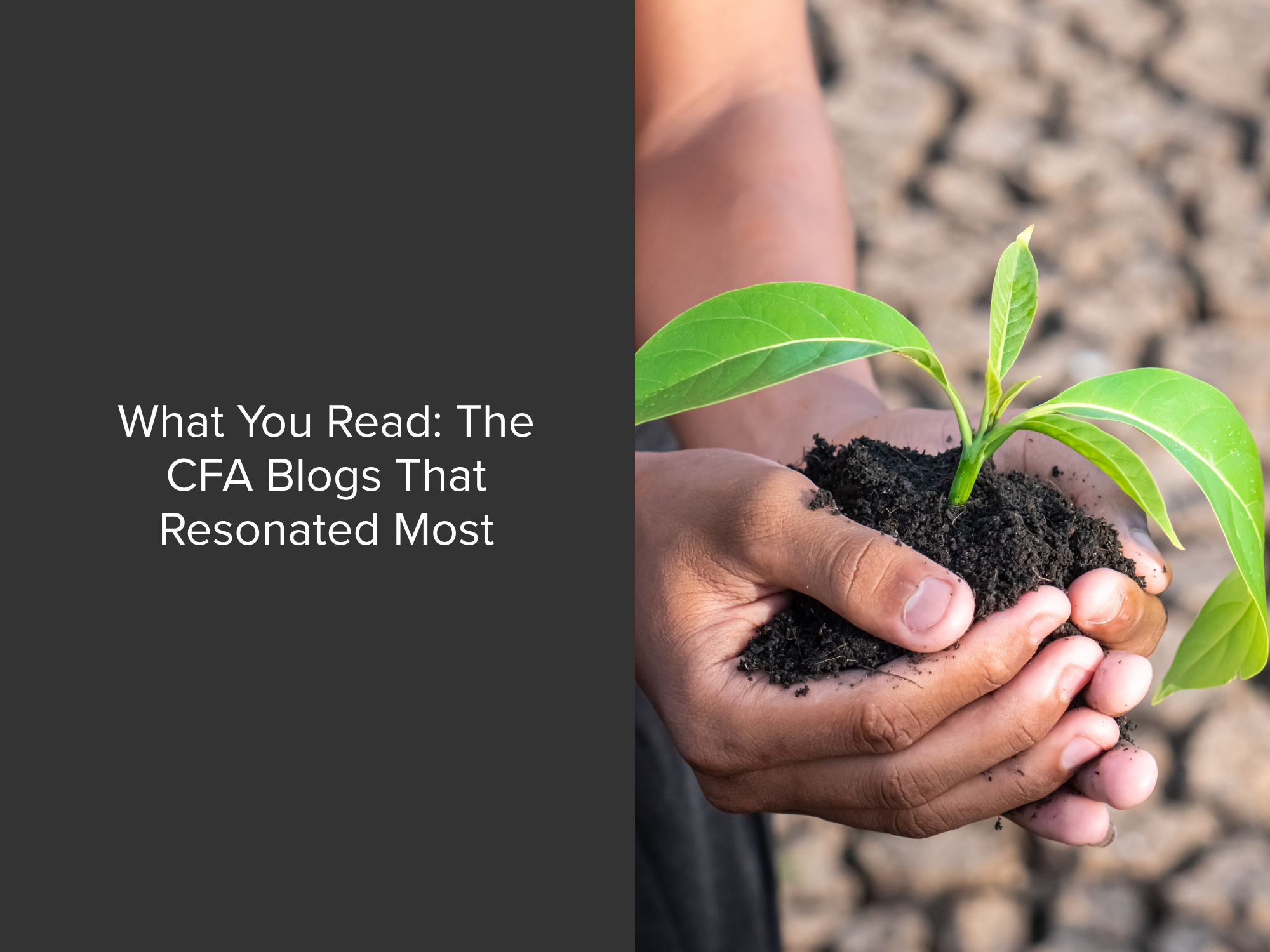 What You Read: The CFA Blogs That Resonated Most