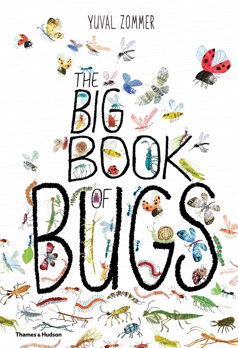 the big book of bugs.jpeg