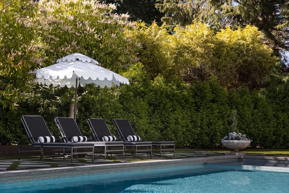 Magnolia Lane — Jenny Martin Design