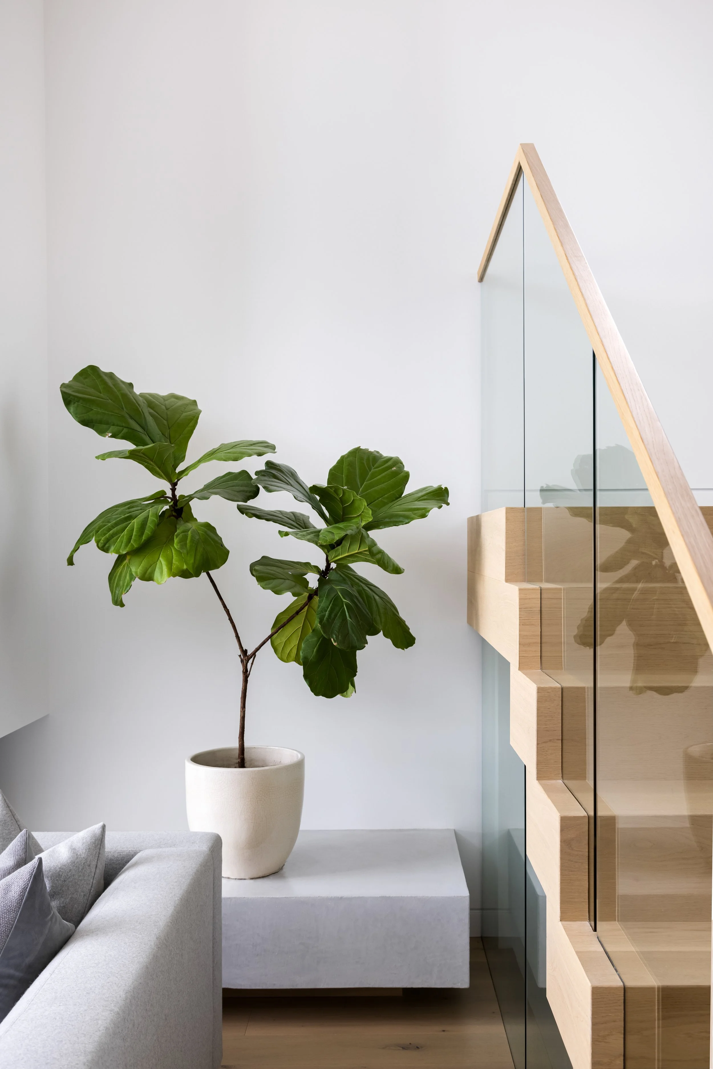 Hidden Hills — Jenny Martin Design