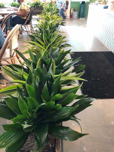 image7.jpeg