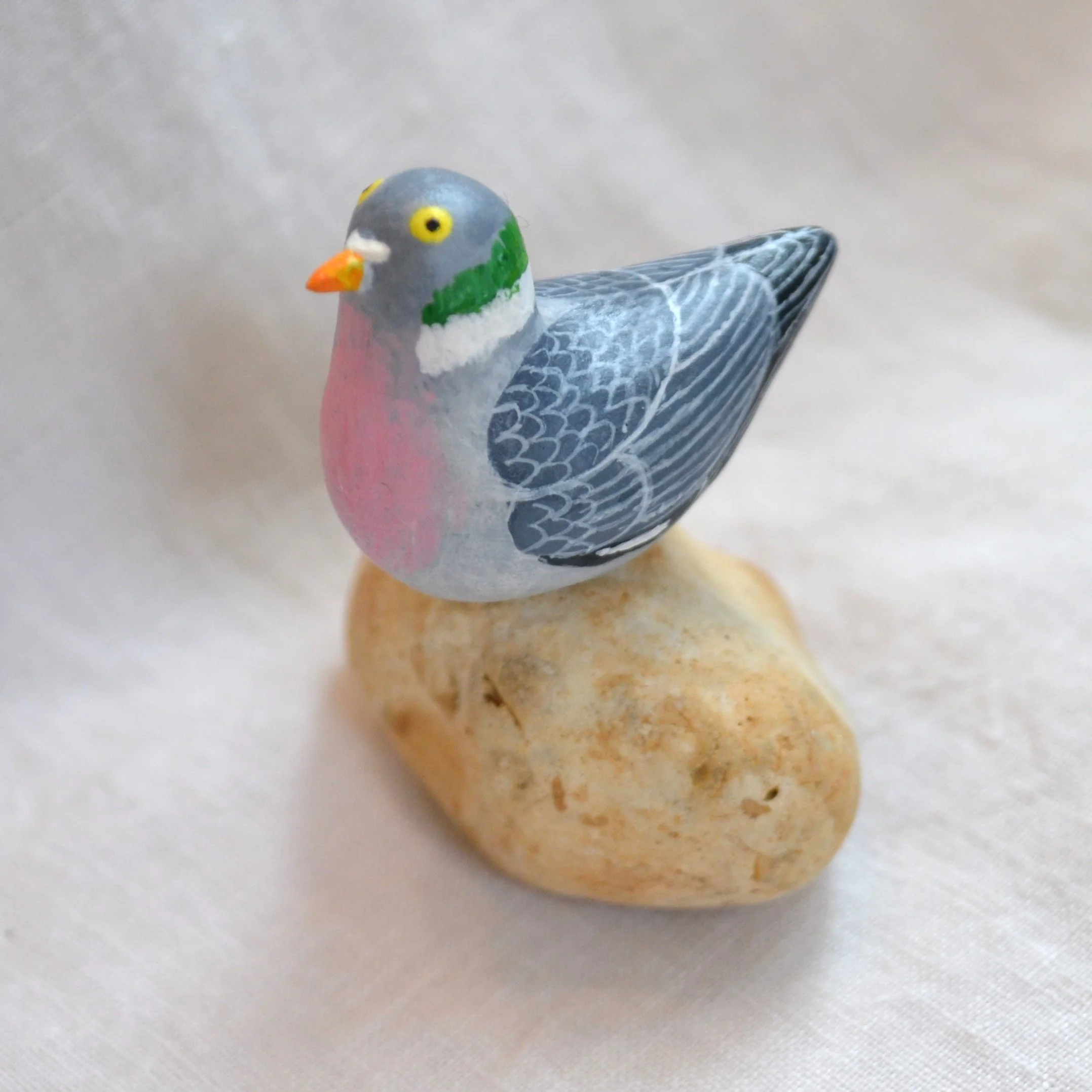 Pigeon on rock