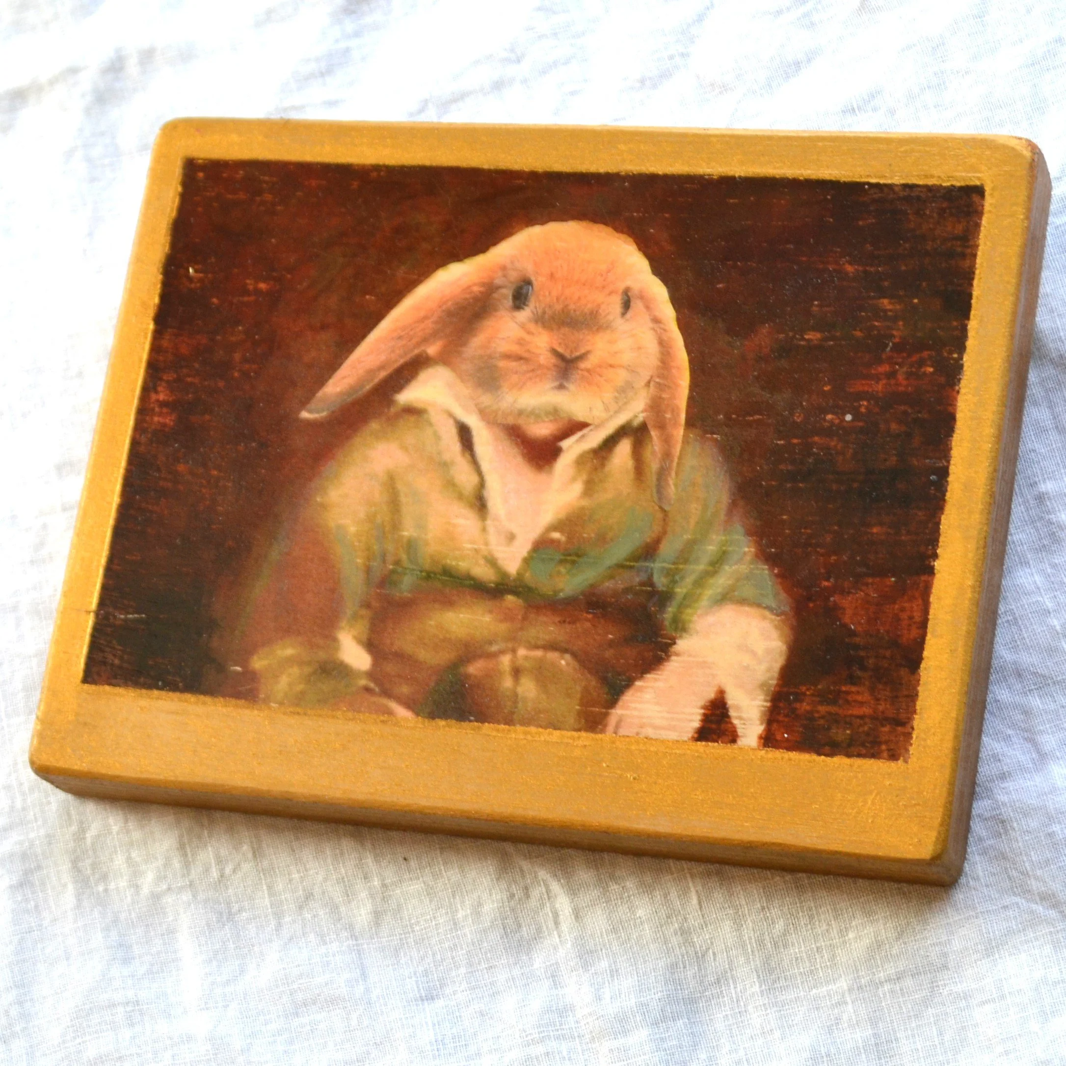 tired rabbit boy2.JPG