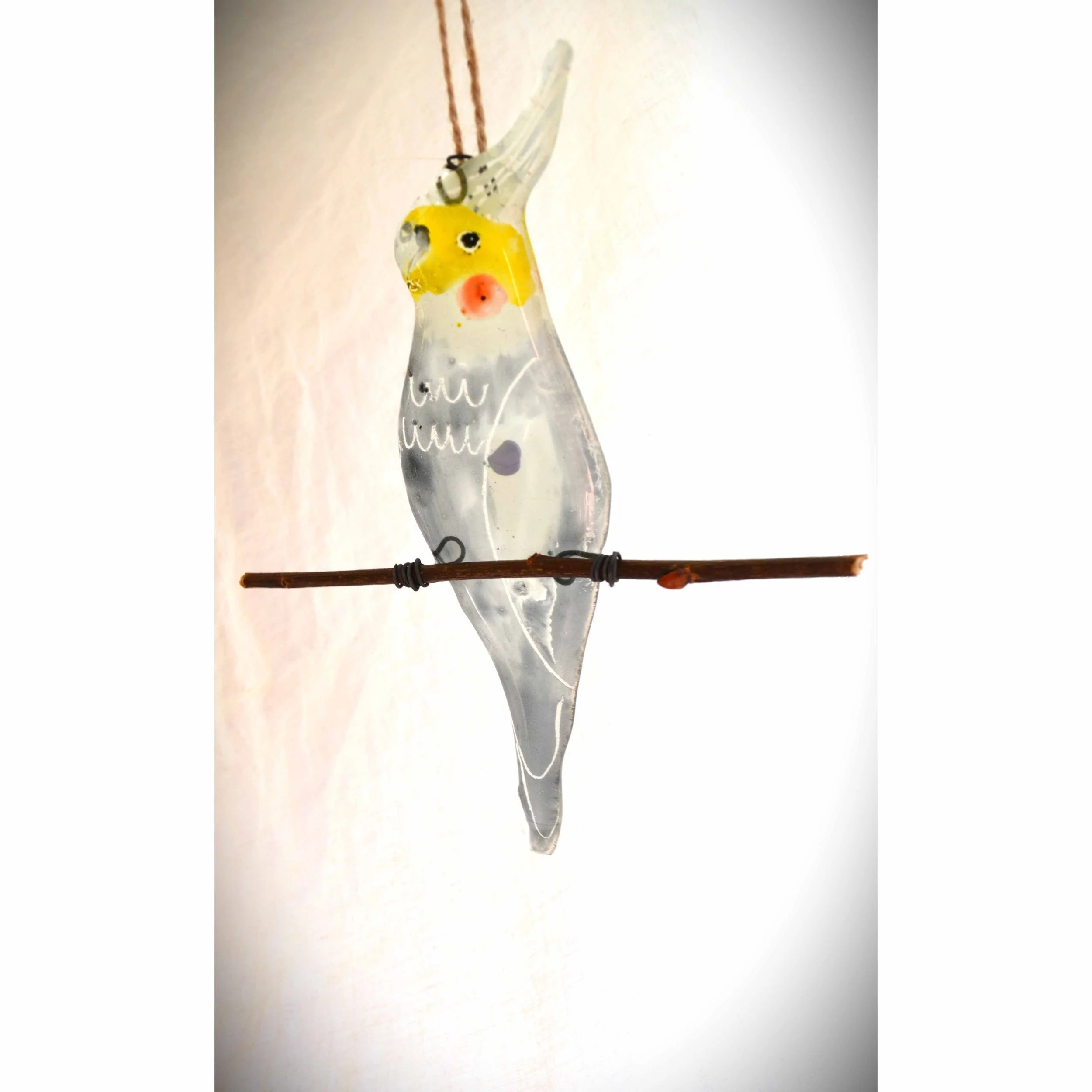 cockatiel 2.jpg
