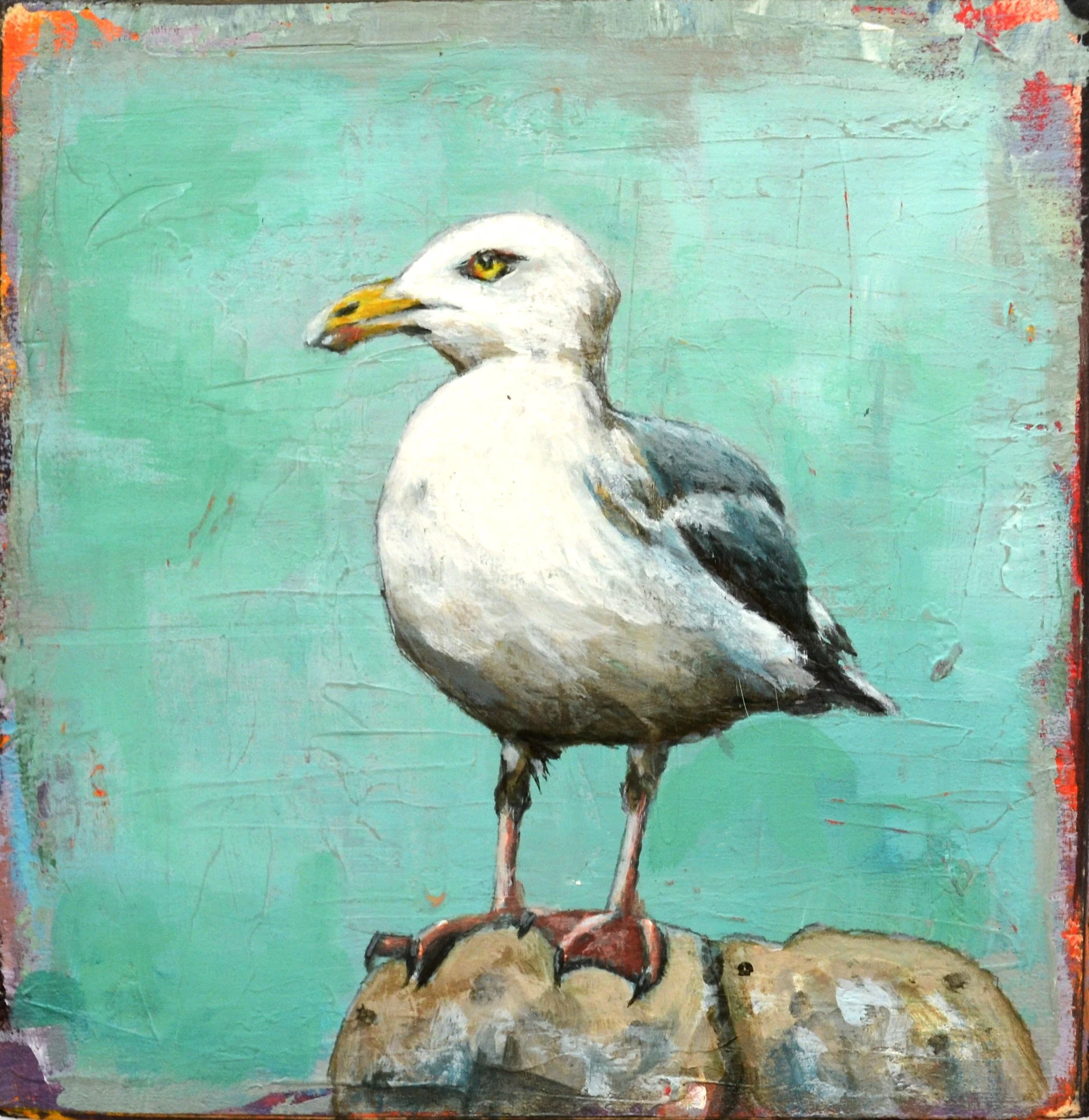 seagull1.JPG