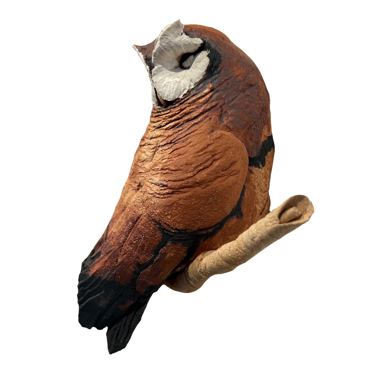 owl4.jpg