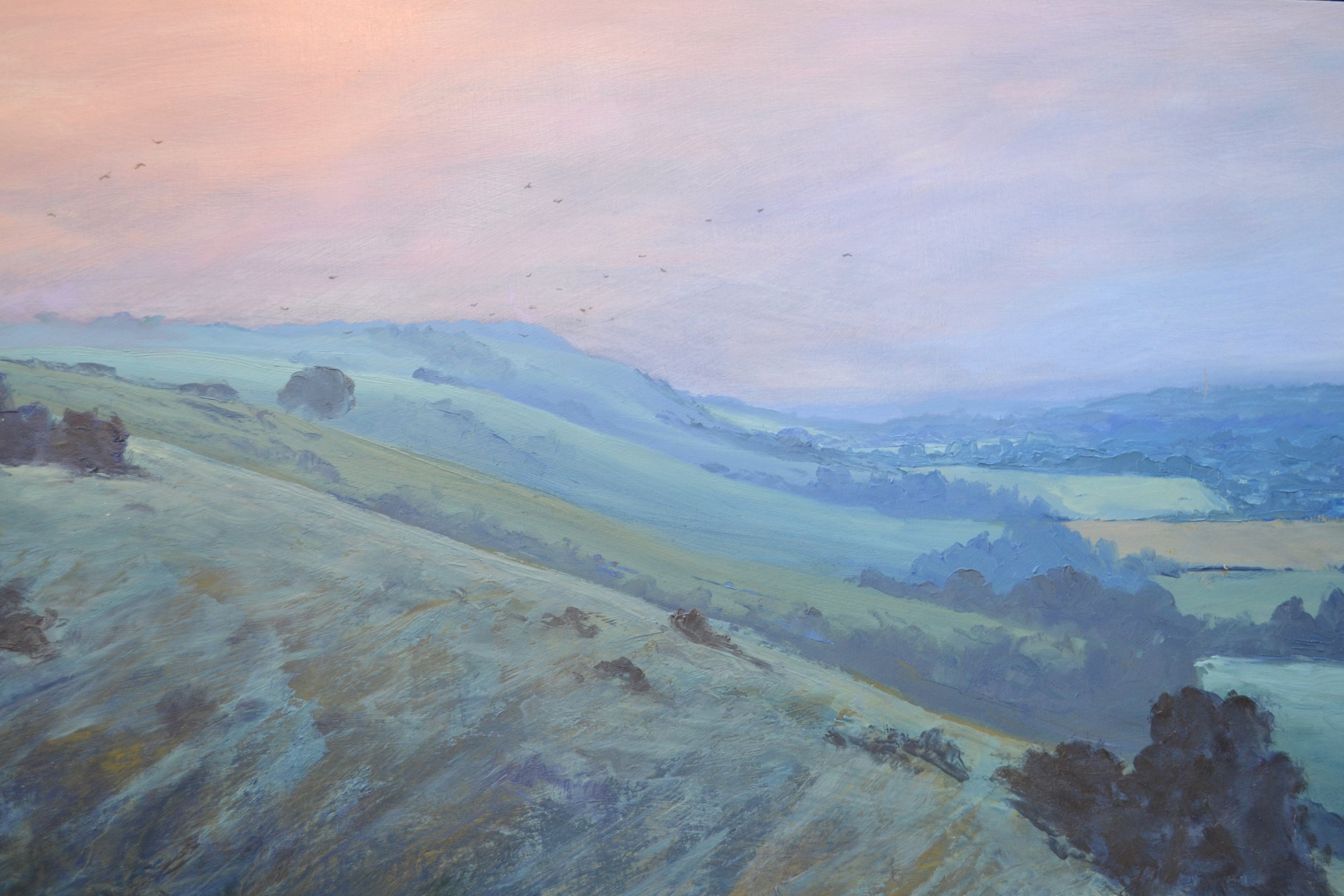 nothing but the crows jesse woodward 4.JPG