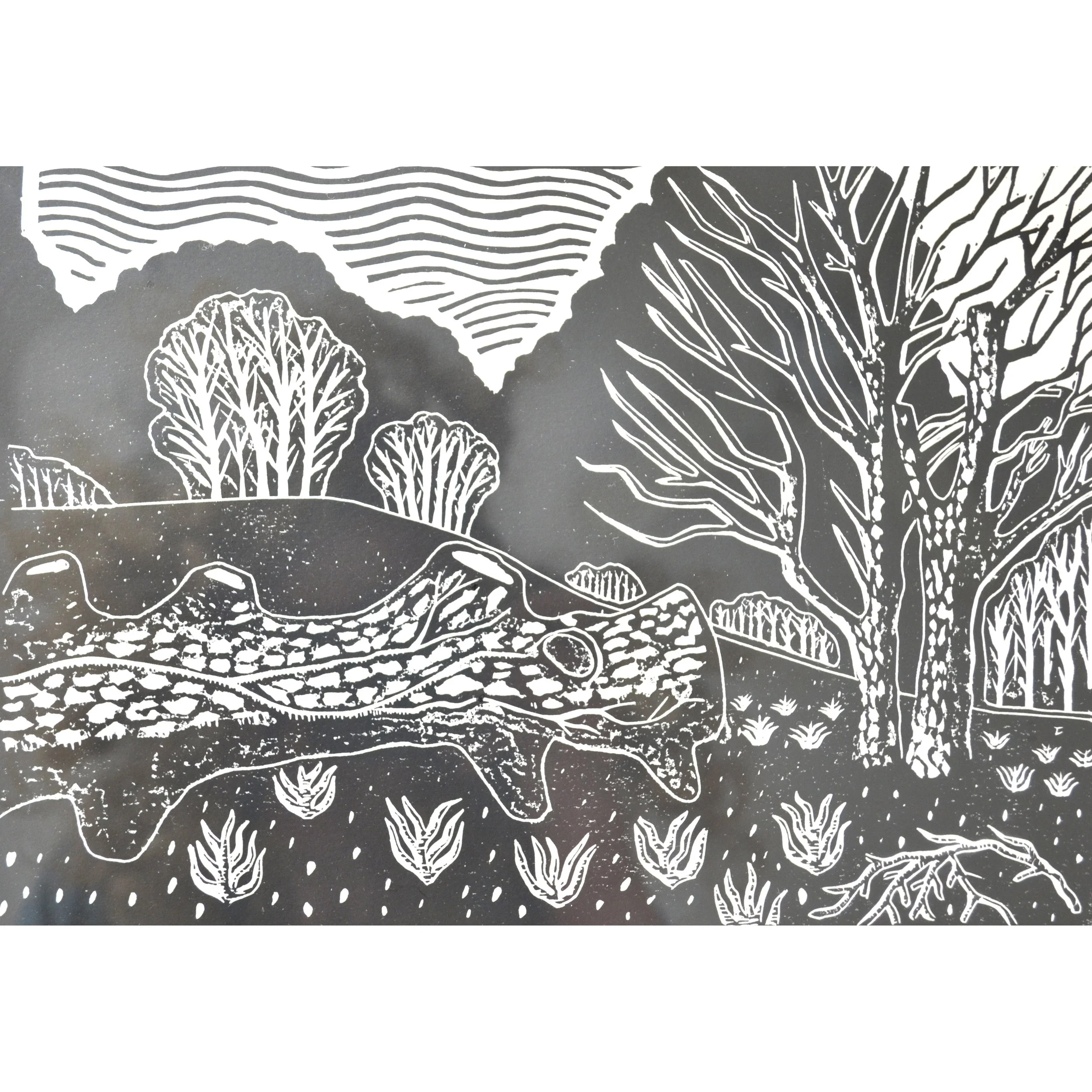 fallen tree detail DSK.JPG