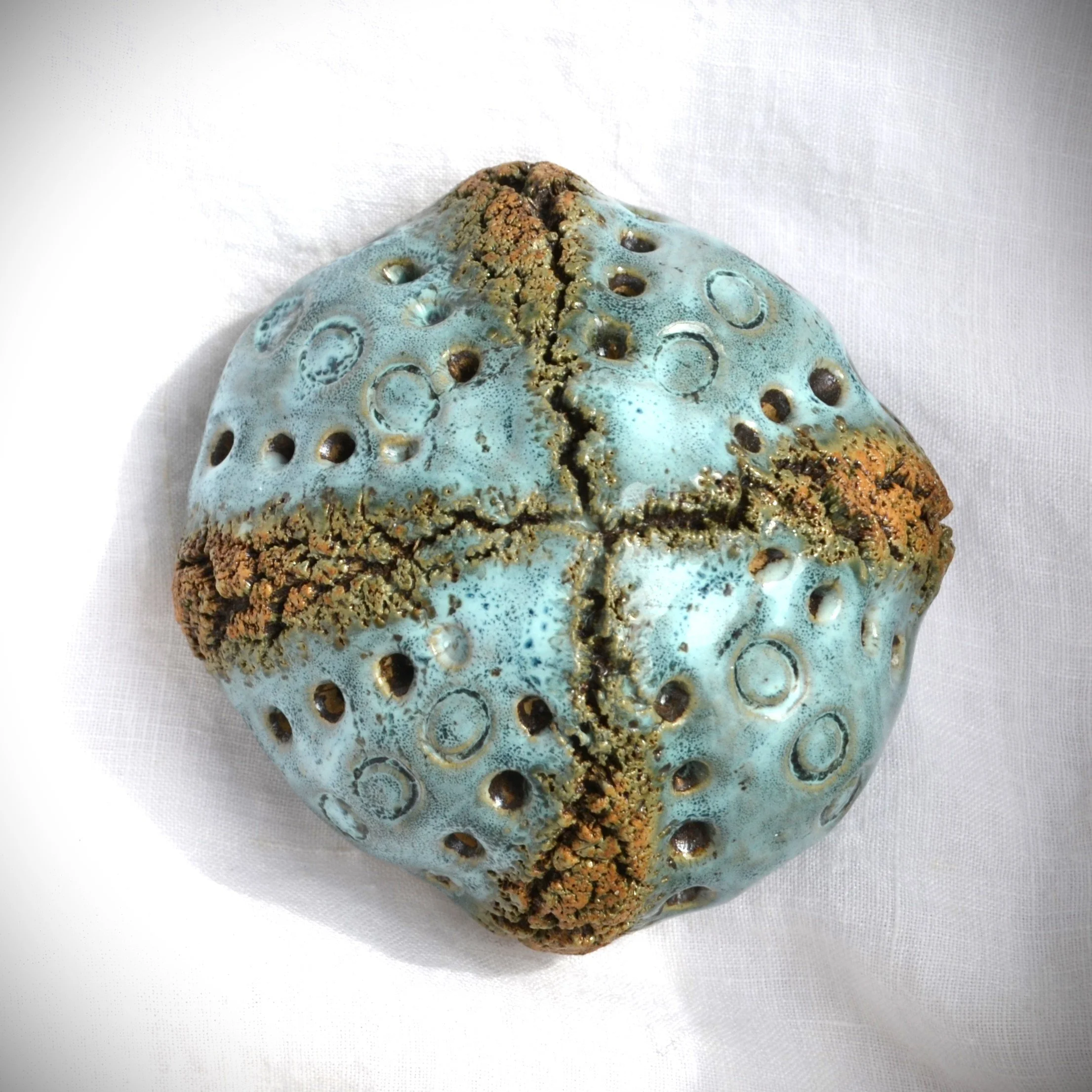 sea urchin turq 3.jpg