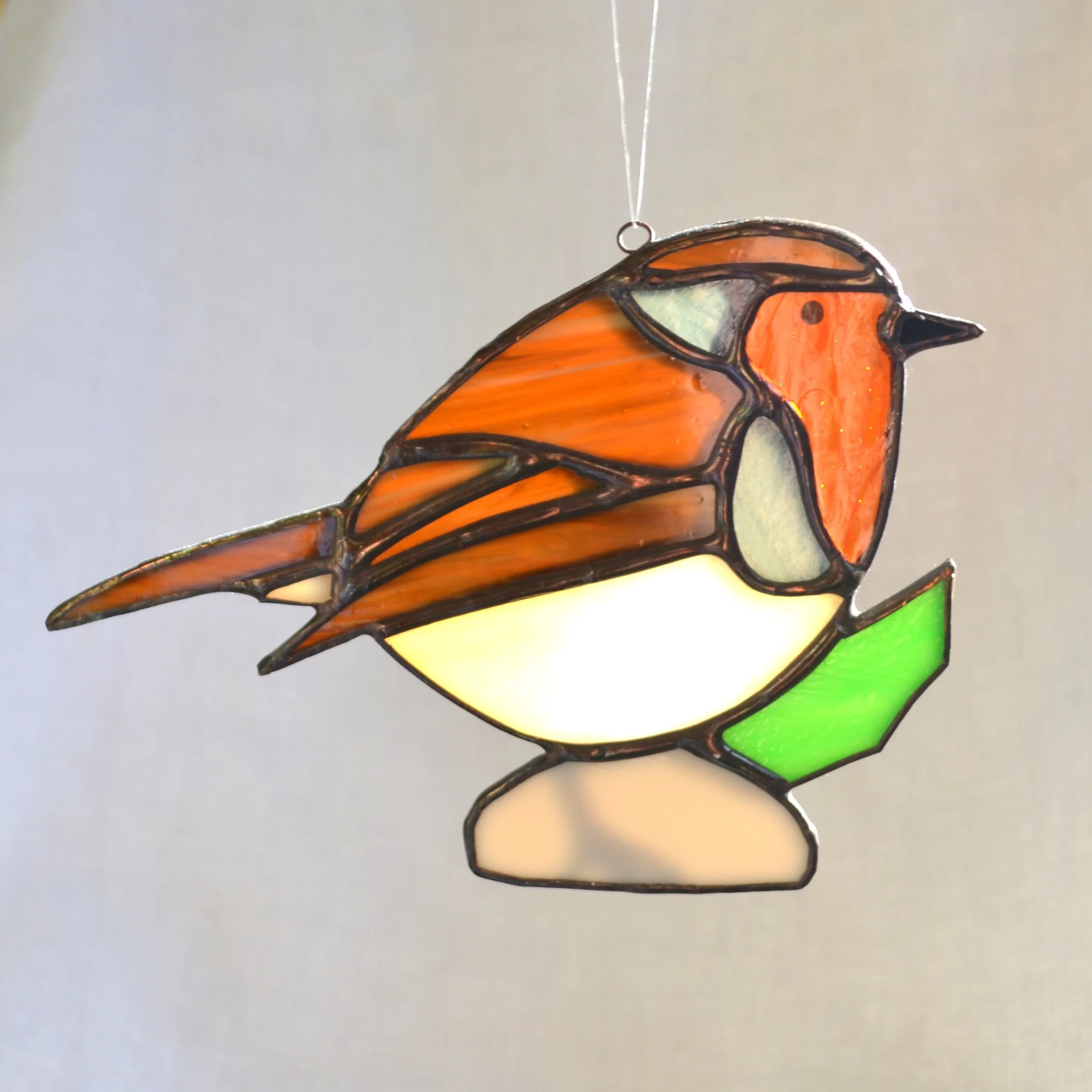 robin EDC 1.jpg