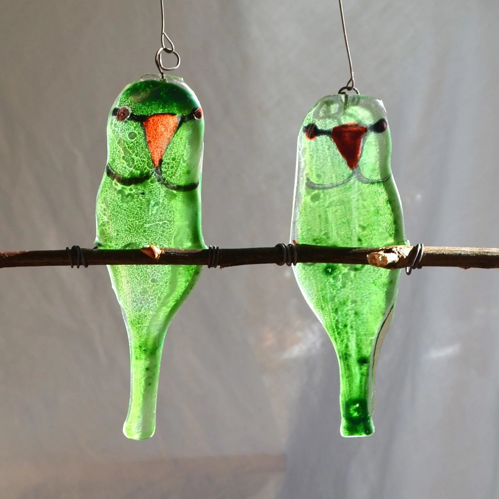 parakeets 3.jpg