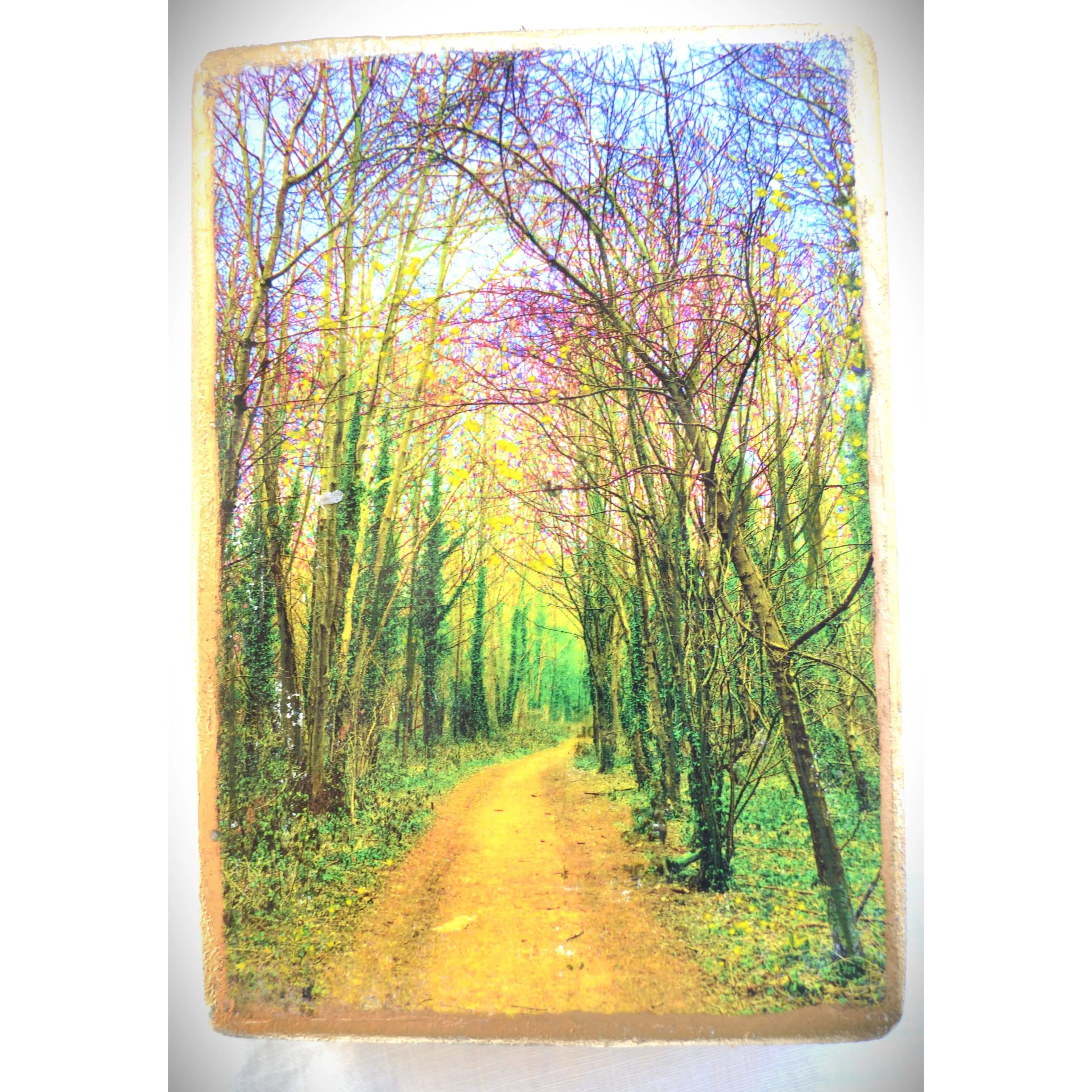 autumn walk 2.jpg