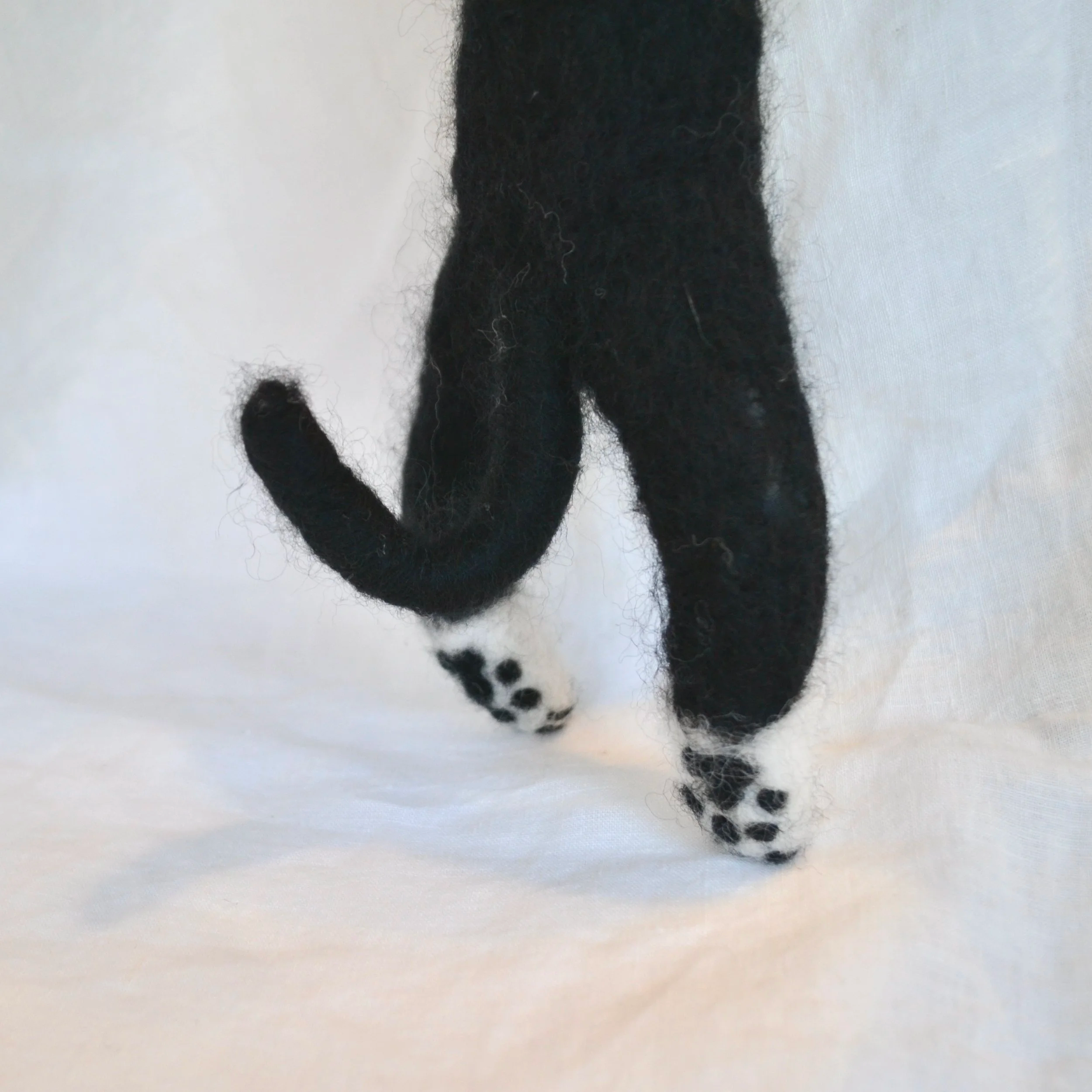 DSC_0061.png