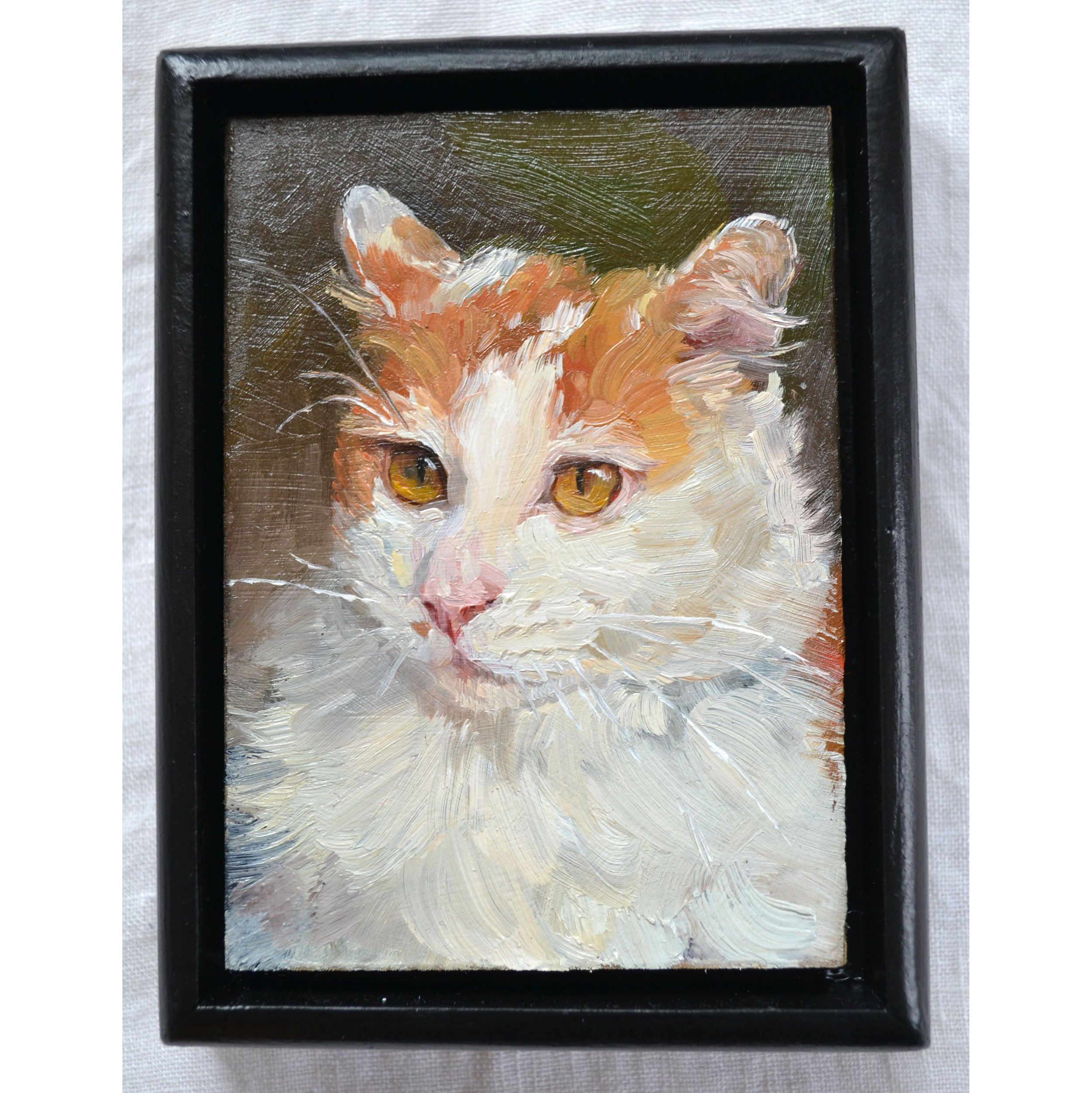 cream cat 1.jpg