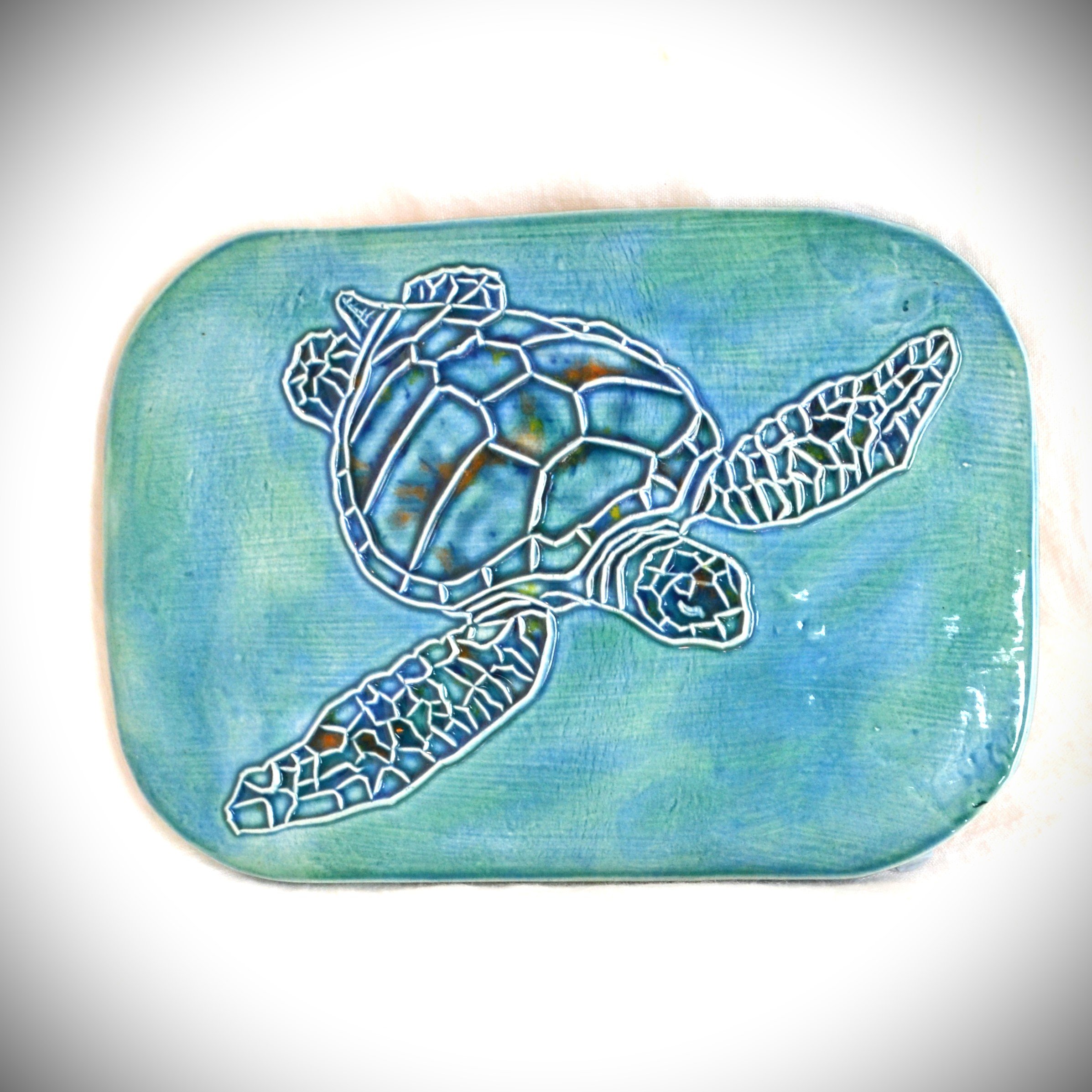 turtle 1.jpg