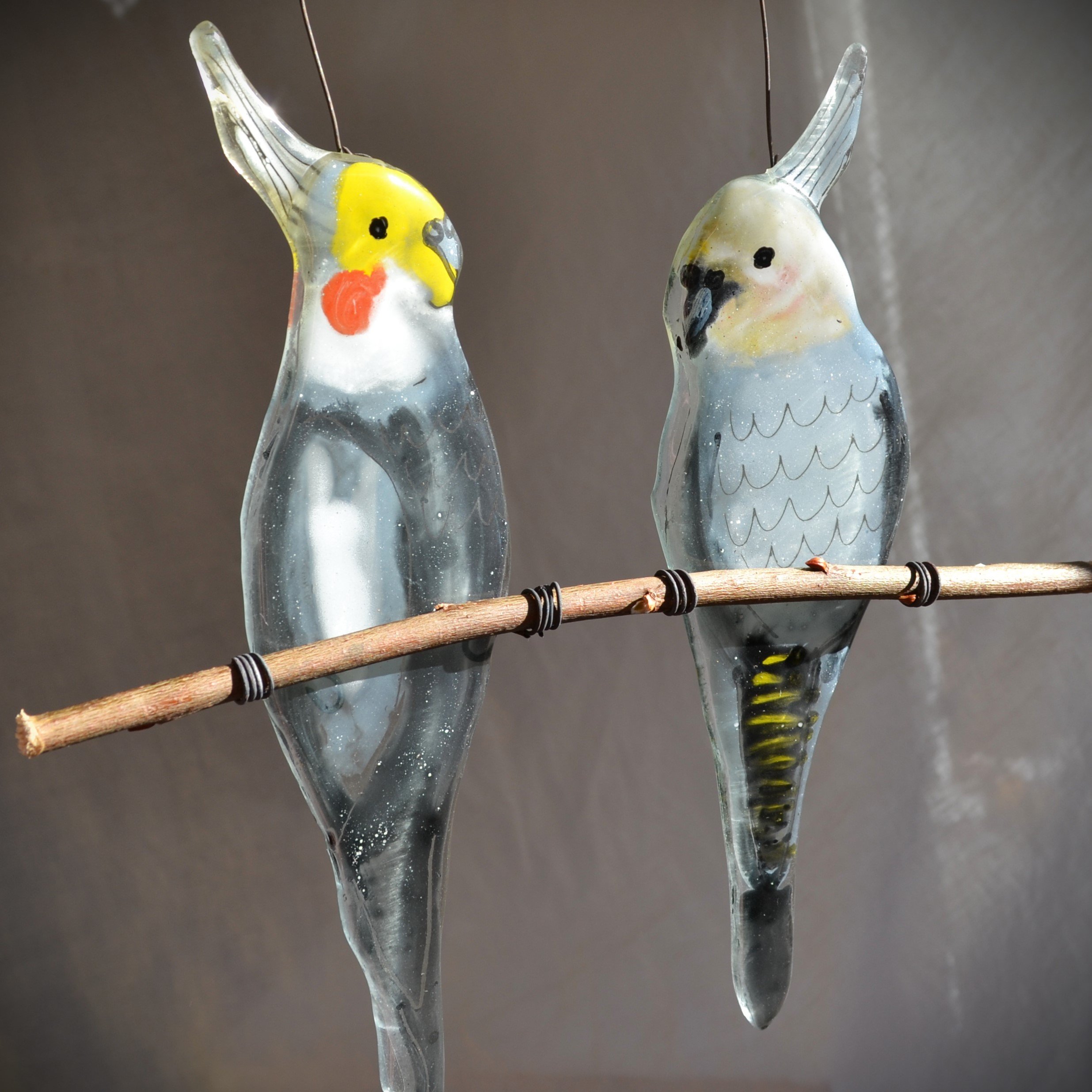 cockatiels 2.jpg