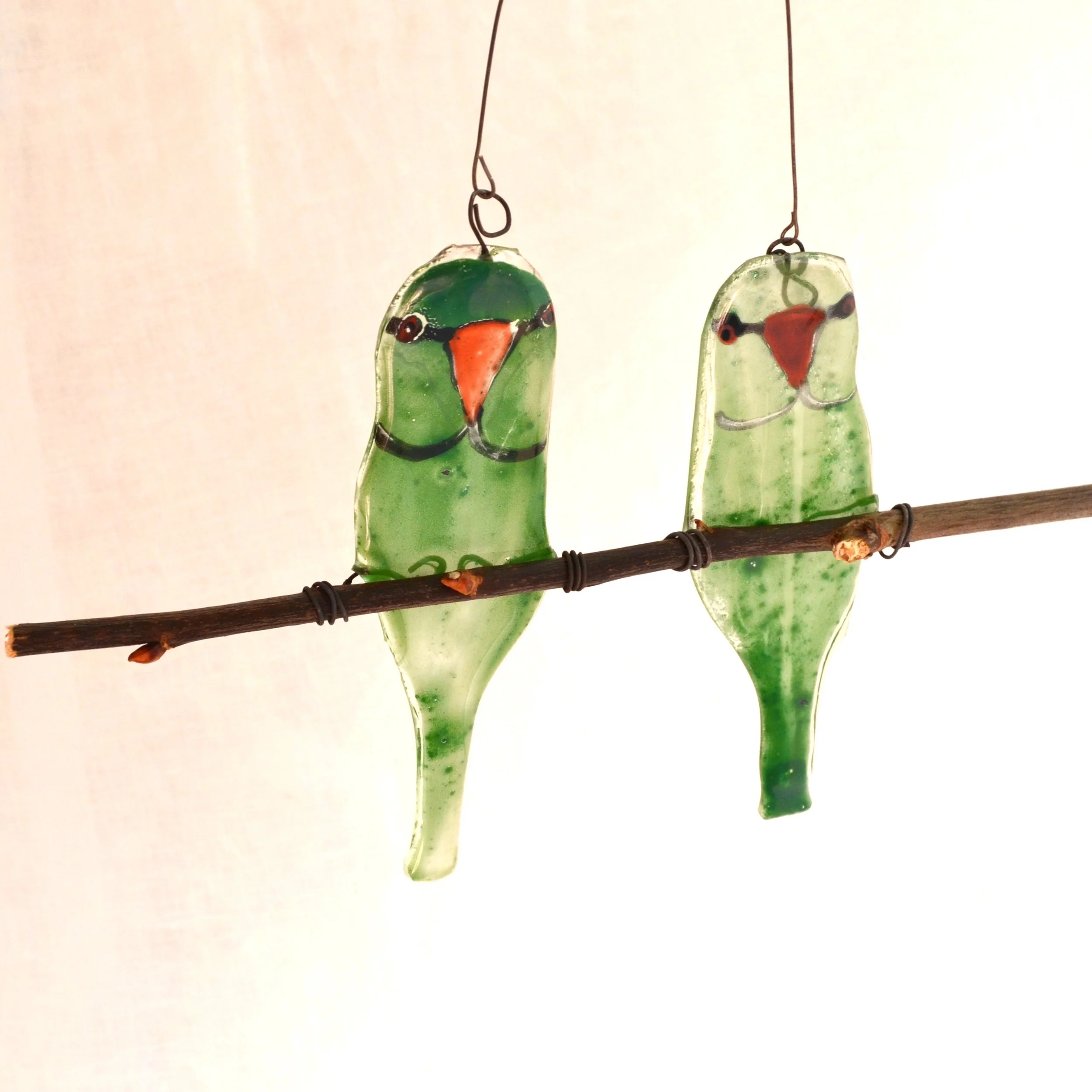 parakeets1.jpg