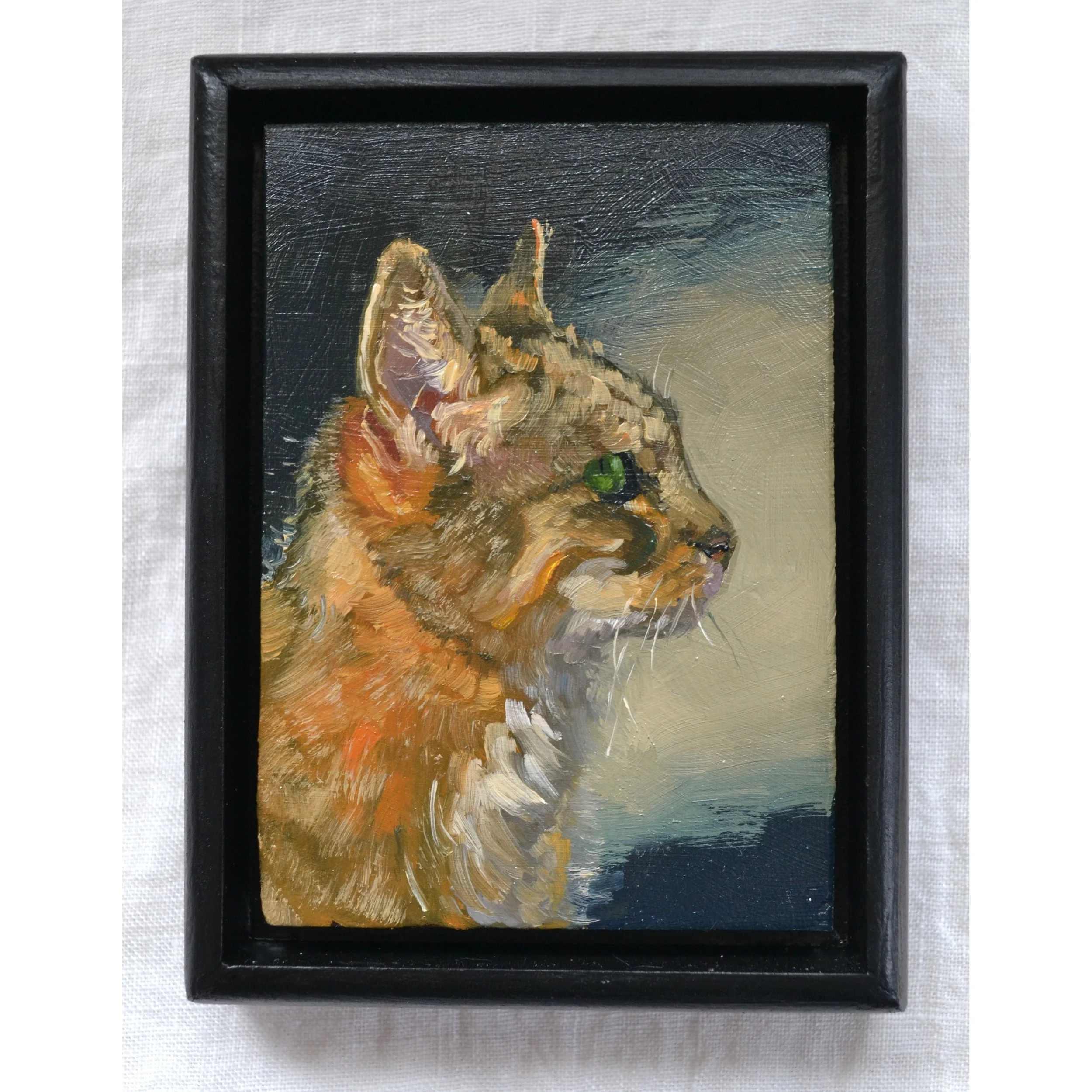 tabby 1.jpg