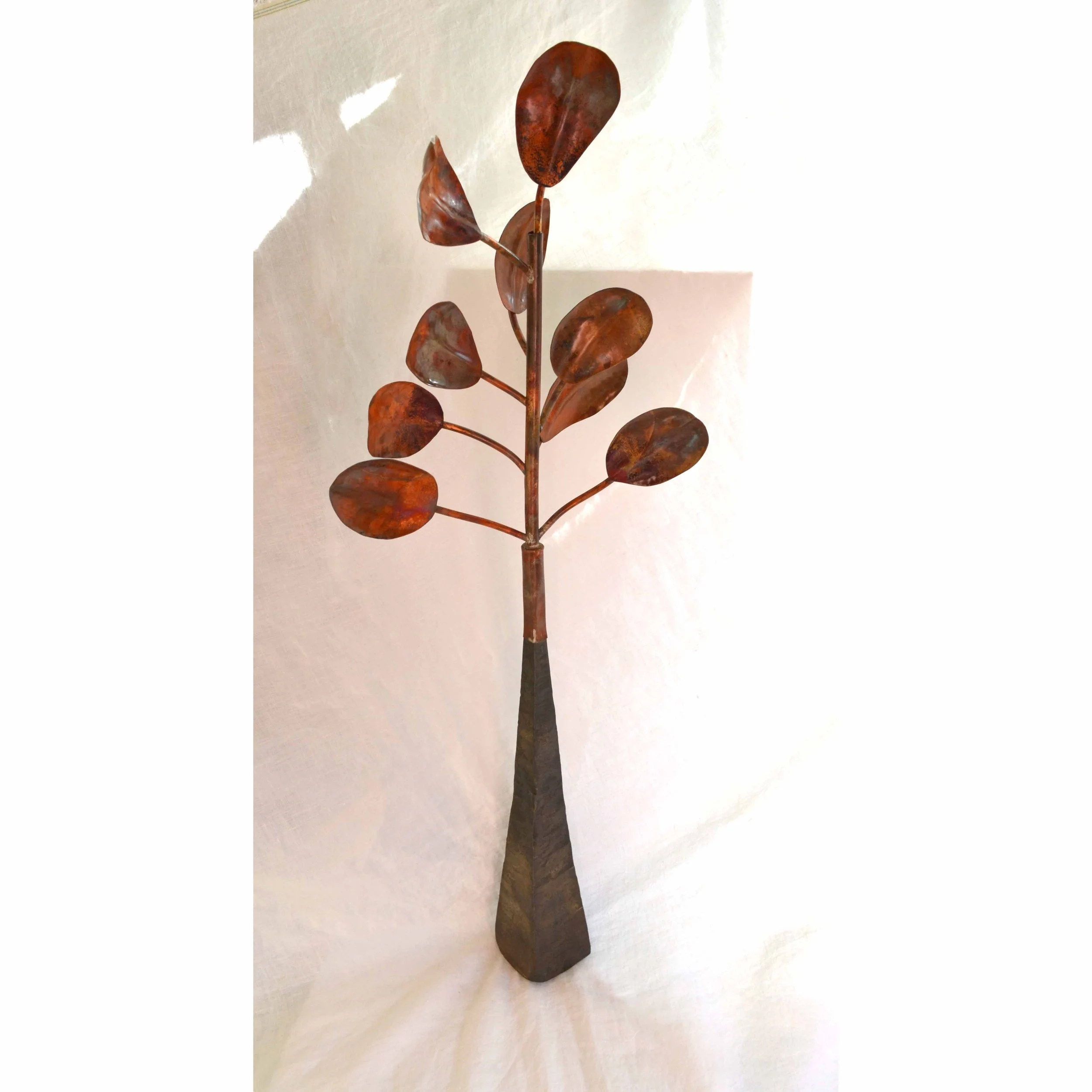 copper leaf tree rear.jpg