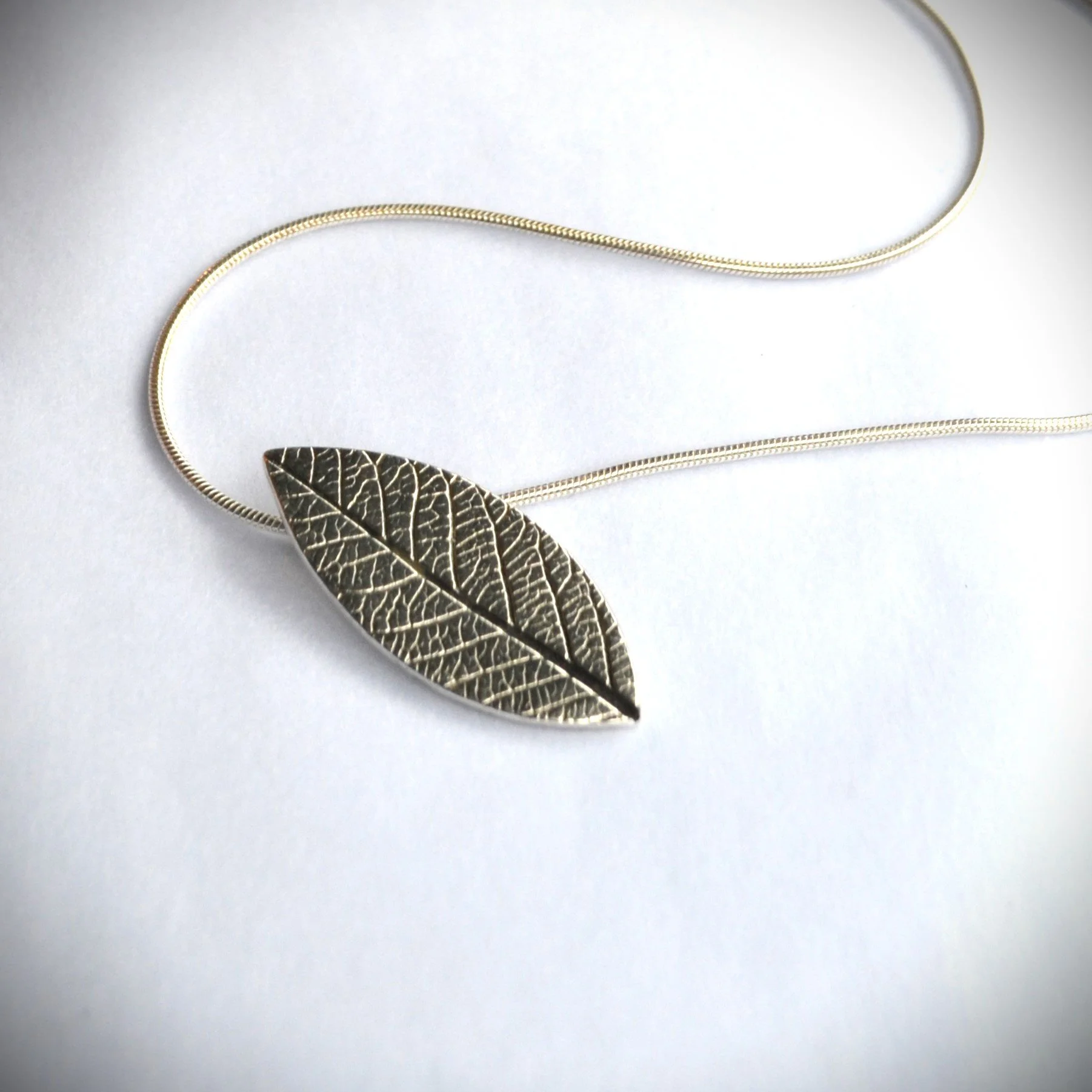 Ahs leaf 4.jpg