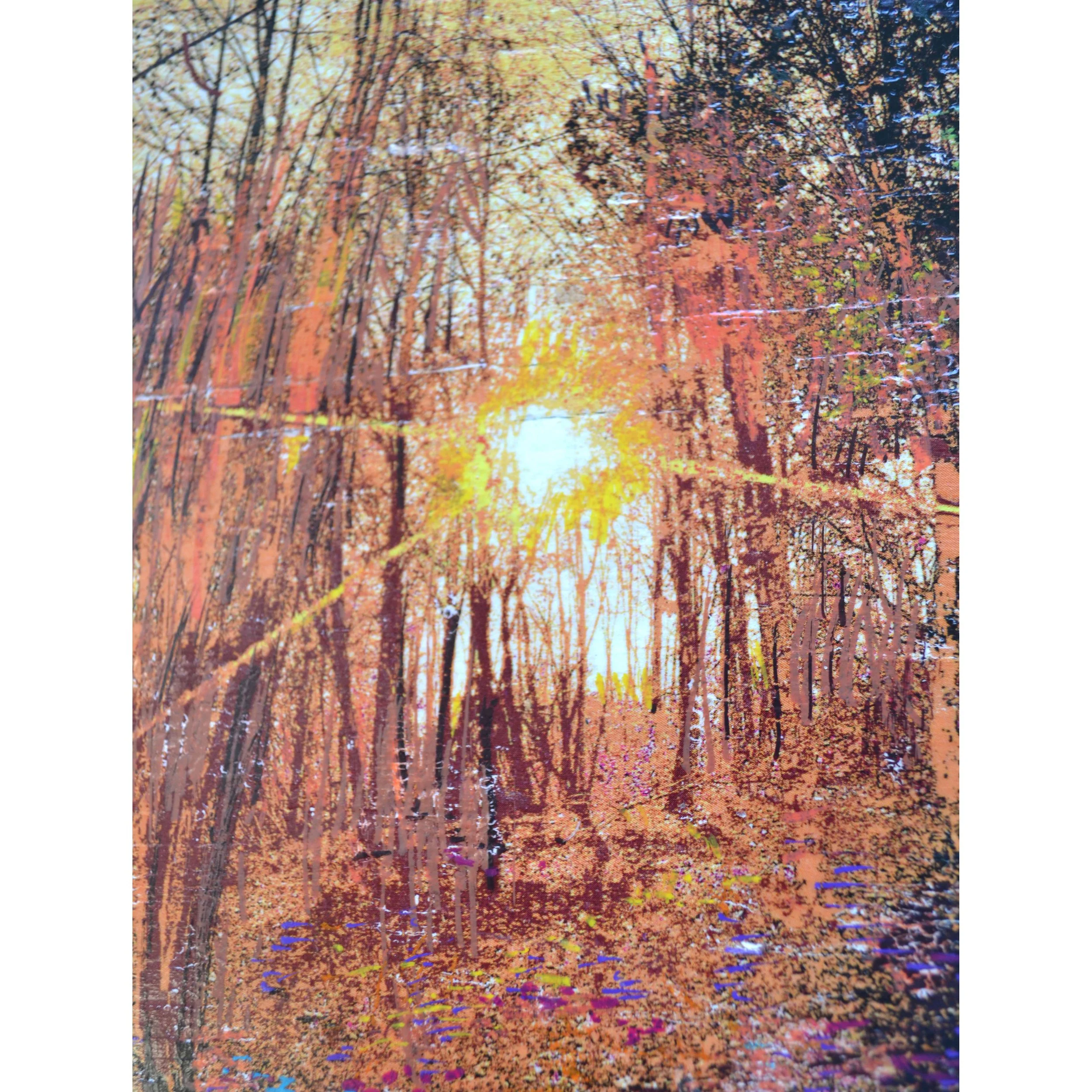 golden morning 1.jpg